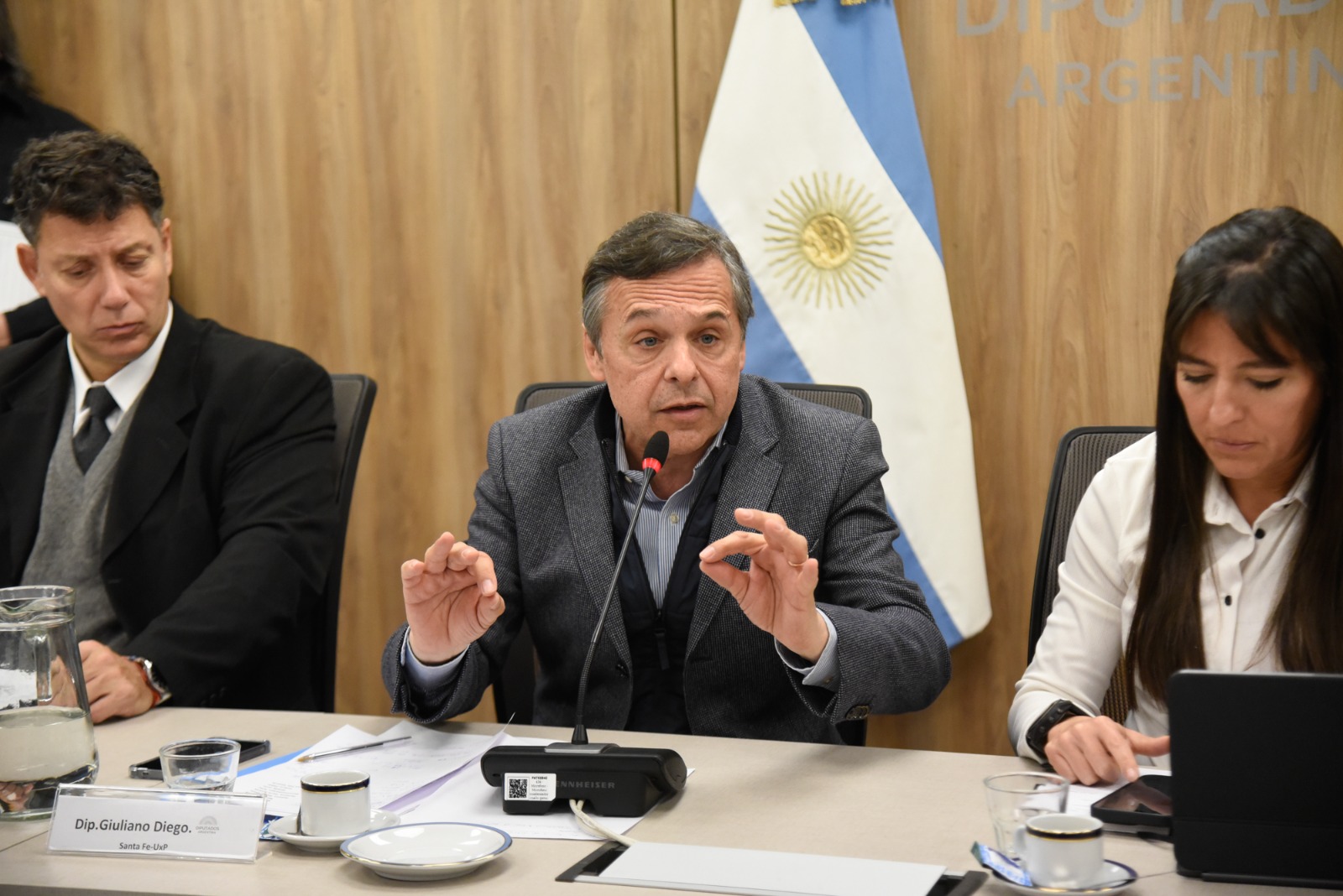 Galeria de imagenes de la noticia EL PRESIDENTE DEL COMITÉ FEDERAL DE TRANSPORTE EXPUSO ANTE UNA COMISIÓN EN DIPUTADOS