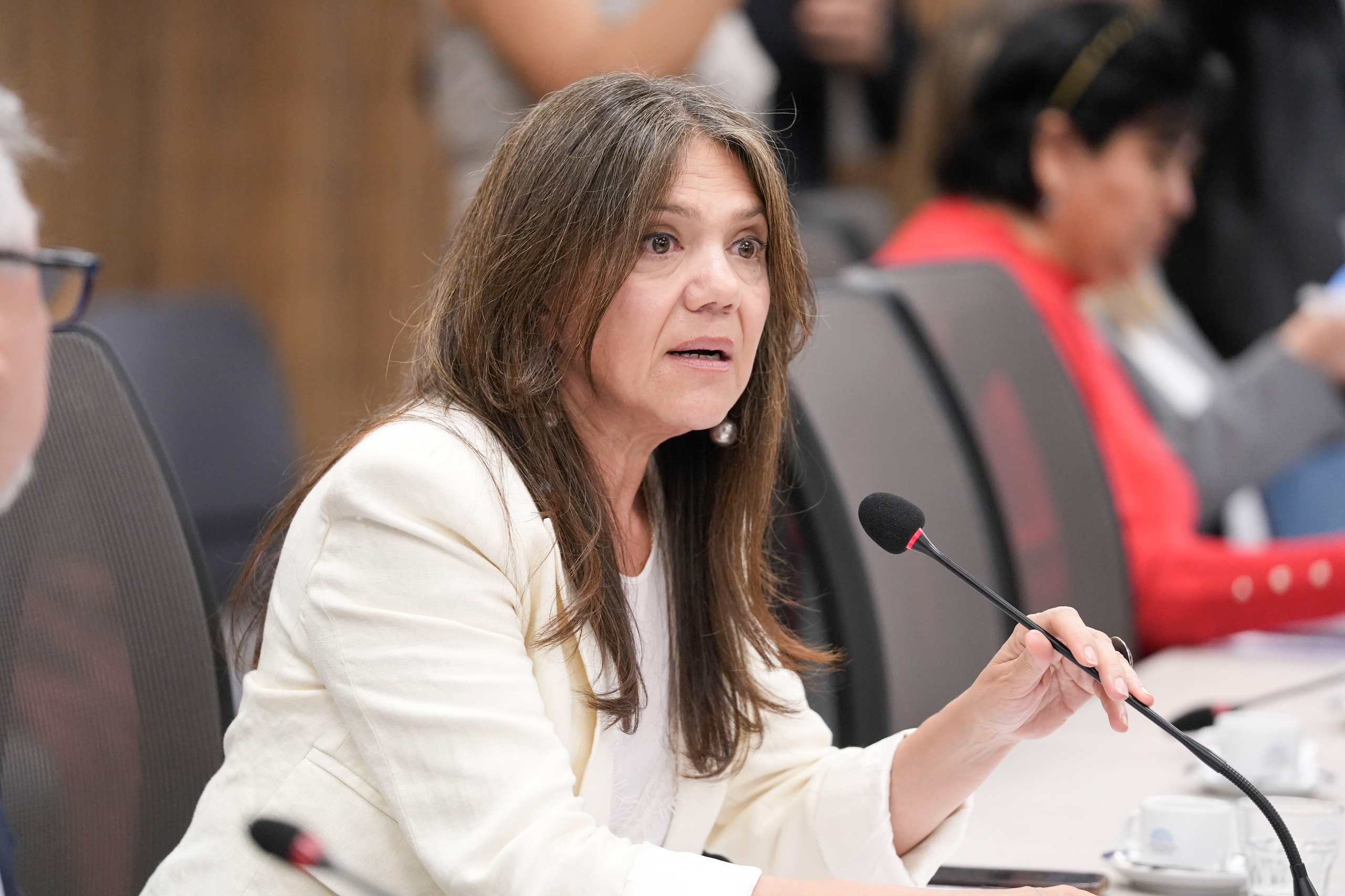 Galeria de imagenes de la noticia AVANZA LA DISCUSIÓN POR UNA LEY DE PROMOCIÓN CULTURAL