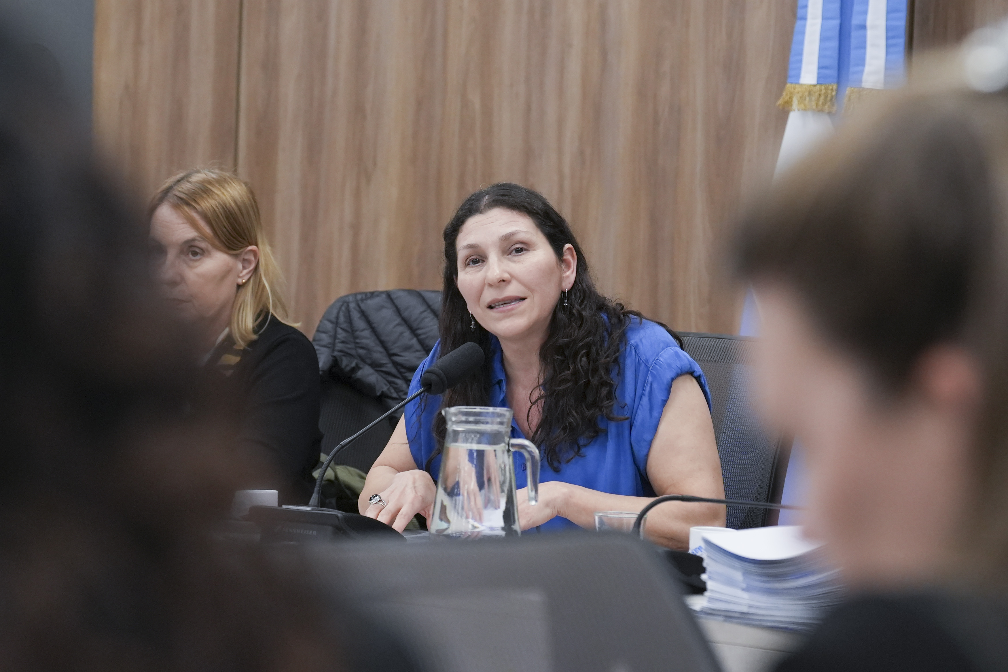 Galeria de imagenes de la noticia UNA CAMPAÑA BASADA EN EL FILM “LA MUJER DE LA FILA”, DE INTERÉS EN PLENARIO DE DIPUTADOS