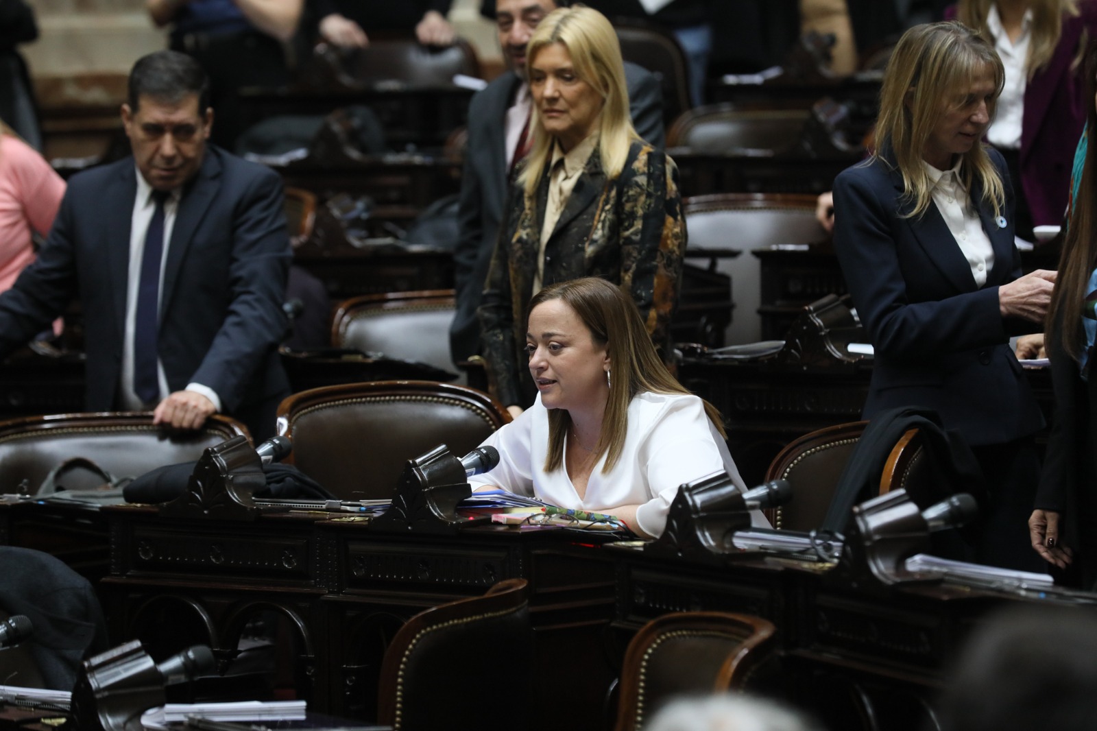 Galeria de imagenes de la noticia LA CÁMARA DE DIPUTADOS REALIZÓ MANIFESTACIONES EN MINORÍA