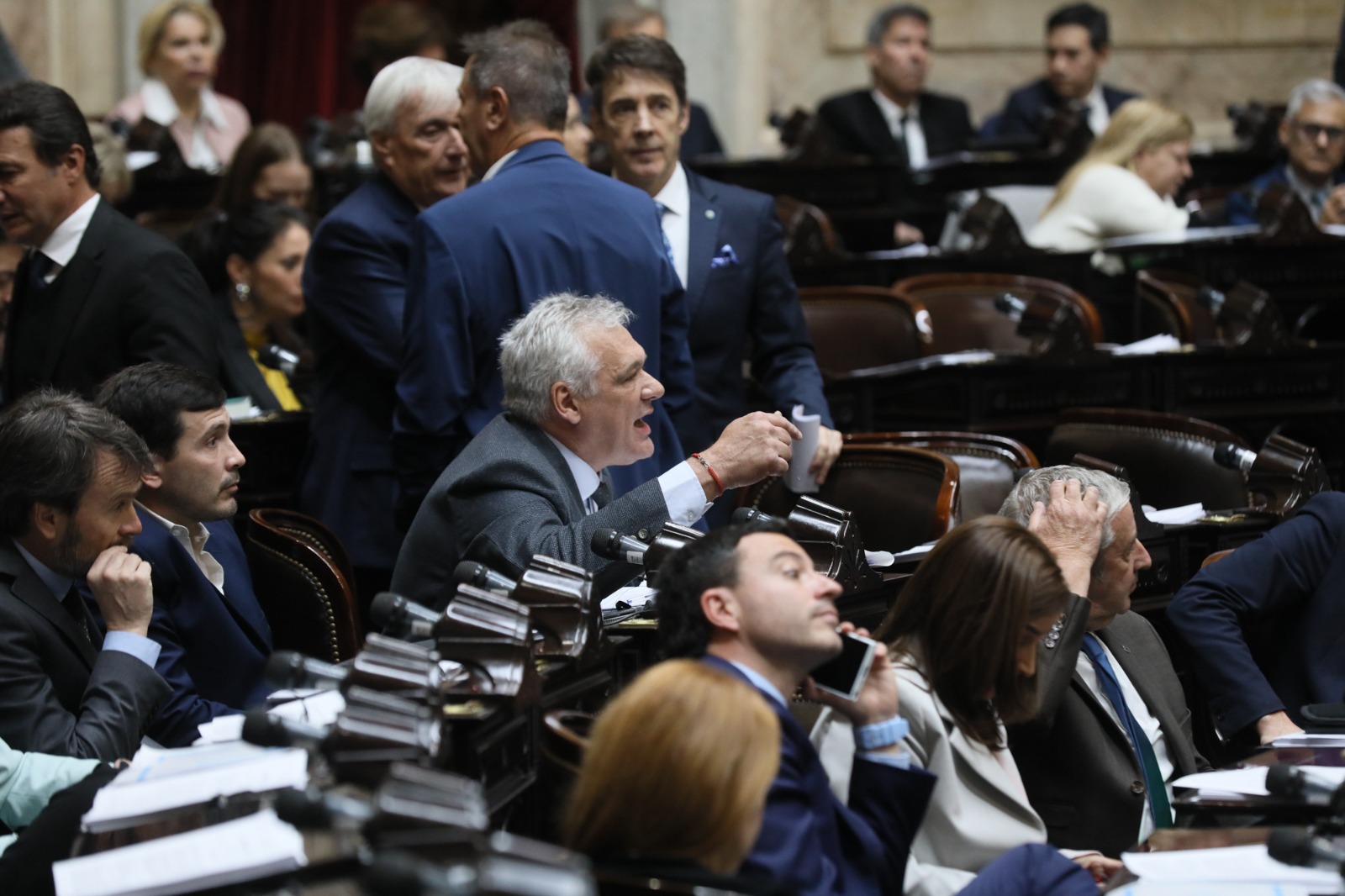 Galeria de imagenes de la noticia LA CÁMARA DE DIPUTADOS REALIZÓ MANIFESTACIONES EN MINORÍA