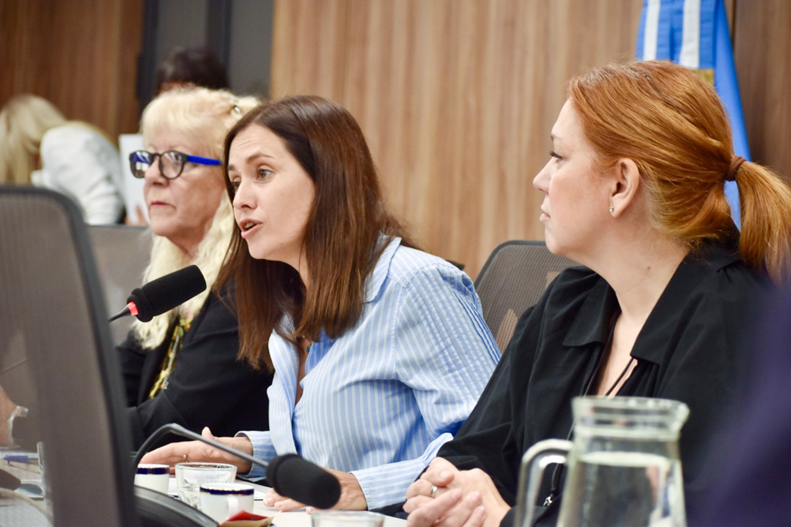 Galeria de imagenes de la noticia DIPUTADOS CONSTITUYEN OCHO NUEVAS COMISIONES