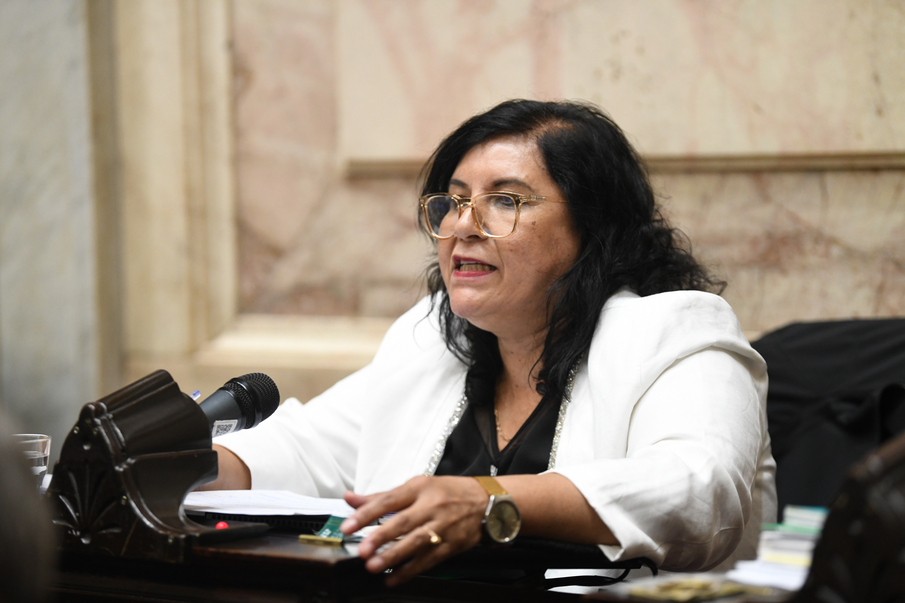 Galeria de imagenes de la noticia EL PRESUPUESTO 2026 OBTUVO MEDIA SANCIÓN EN LA CÁMARA DE DIPUTADOS