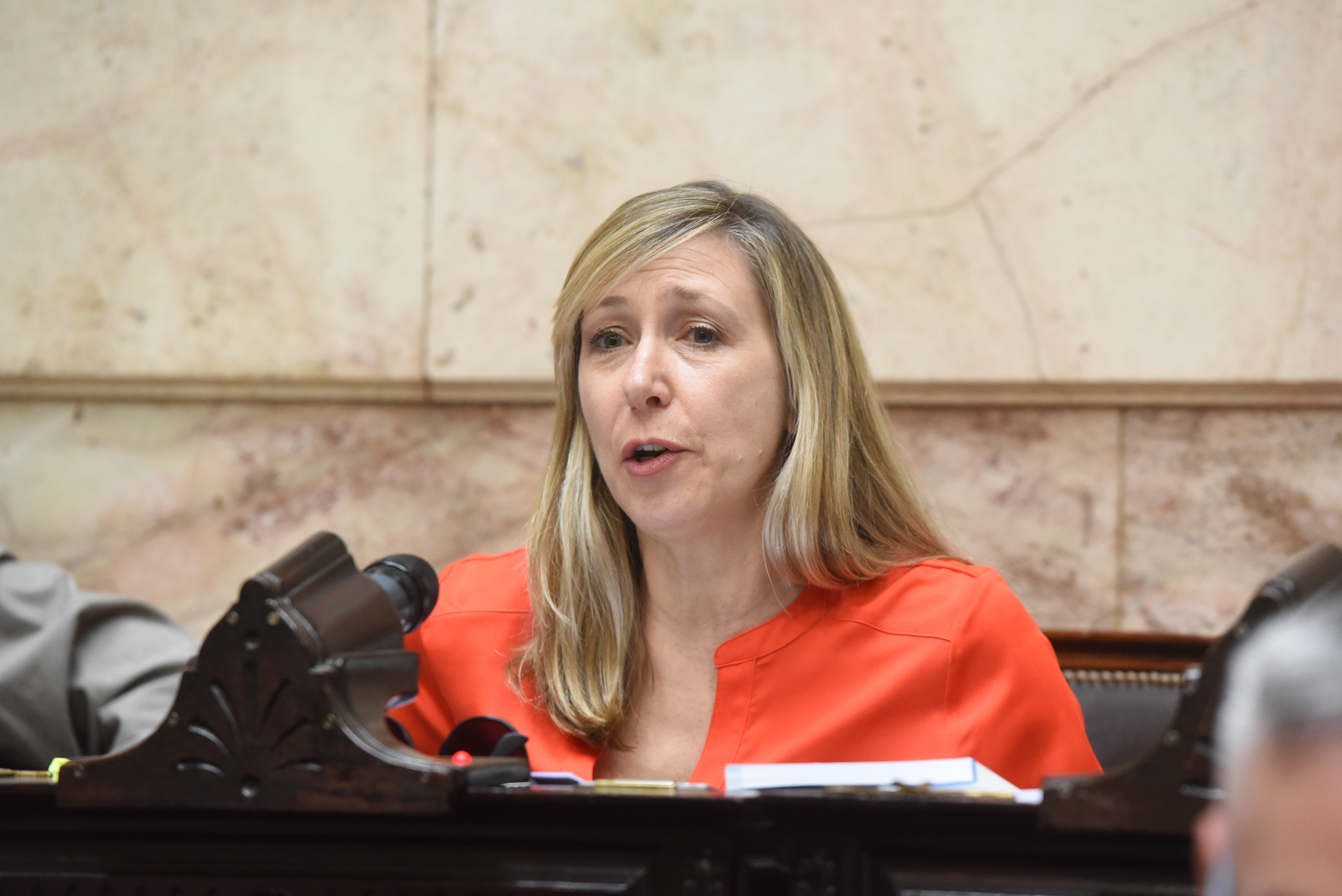 Galeria de imagenes de la noticia EL PRESUPUESTO 2026 OBTUVO MEDIA SANCIÓN EN LA CÁMARA DE DIPUTADOS