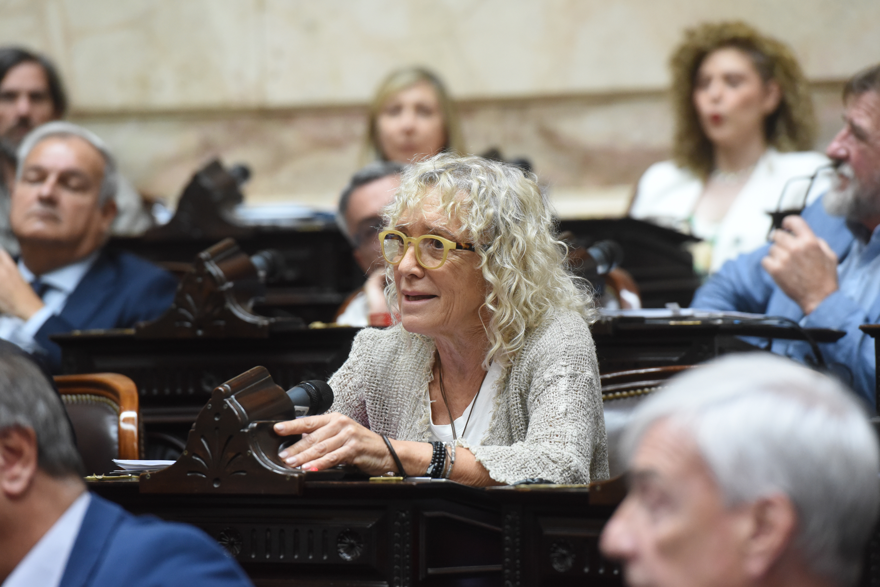 Galeria de imagenes de la noticia EL PRESUPUESTO 2026 OBTUVO MEDIA SANCIÓN EN LA CÁMARA DE DIPUTADOS