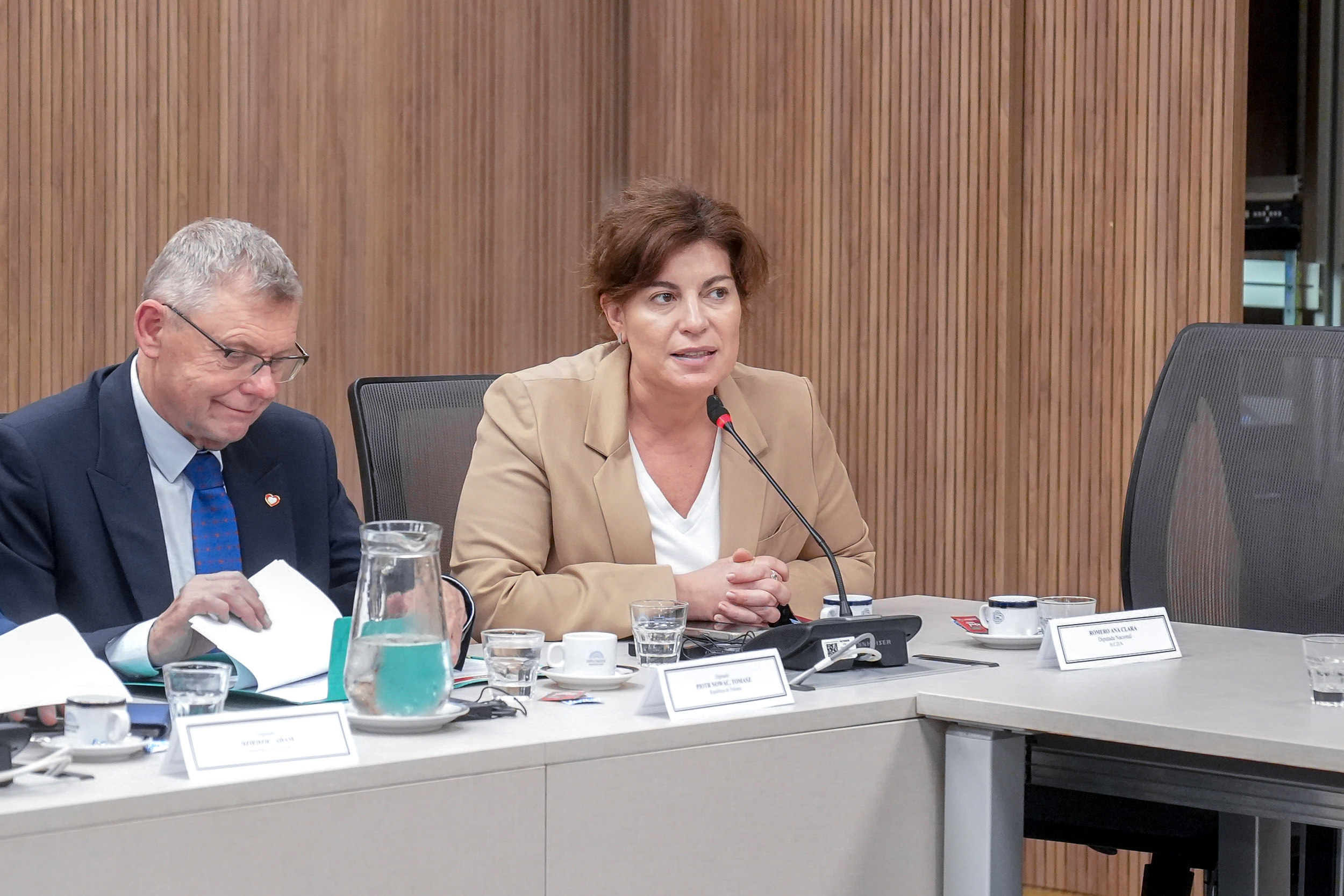 Galeria de imagenes de la noticia INTERCAMBIO PARLAMENTARIO CON POLONIA: EL GPA RECIBIÓ A INTEGRANTES DEL SEJM