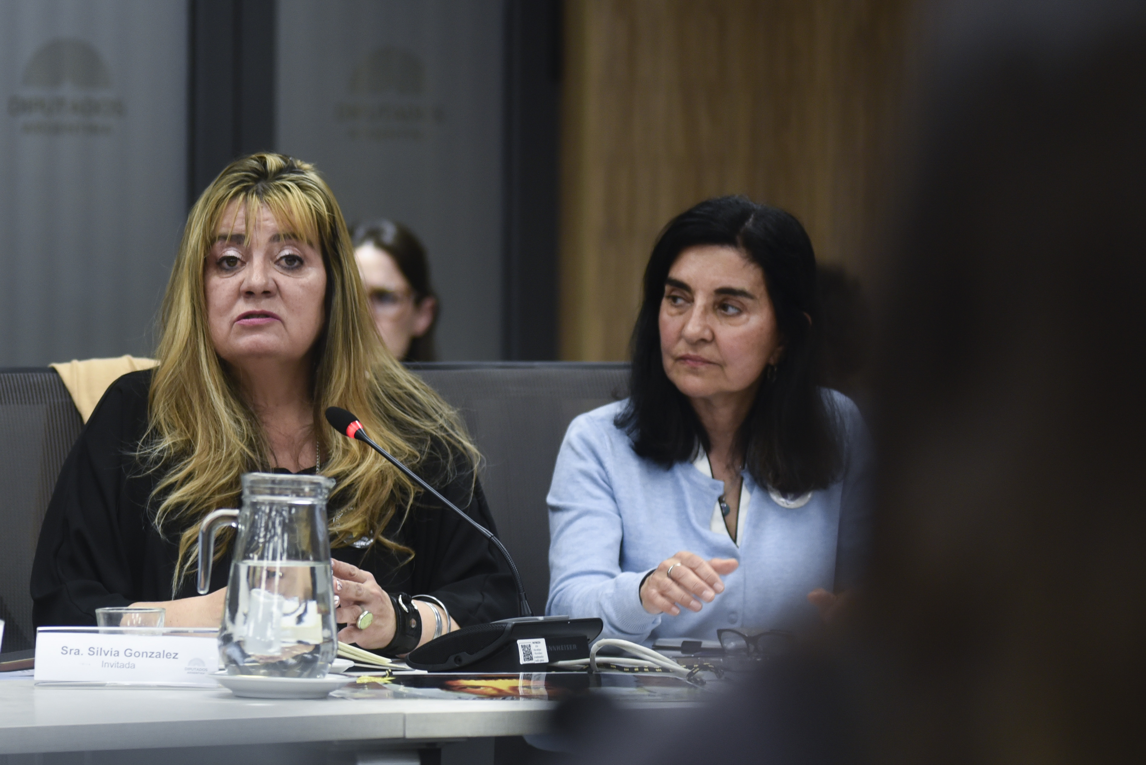 Galeria de imagenes de la noticia ESPECIALISTAS DEBATIERON MODIFICACIONES PENALES SOBRE DELITOS POR SINIESTROS VIALES
