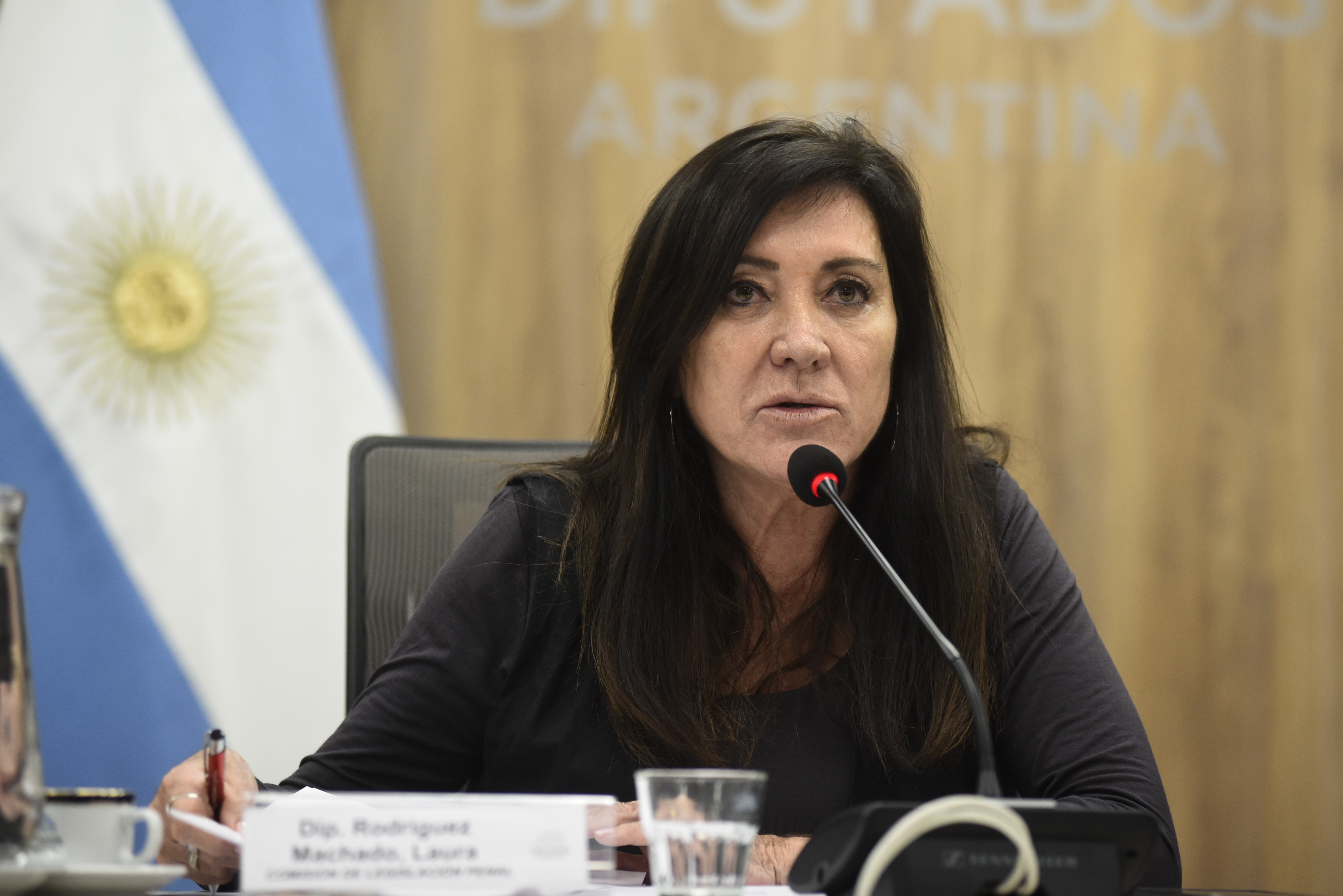 Galeria de imagenes de la noticia ESPECIALISTAS DEBATIERON MODIFICACIONES PENALES SOBRE DELITOS POR SINIESTROS VIALES
