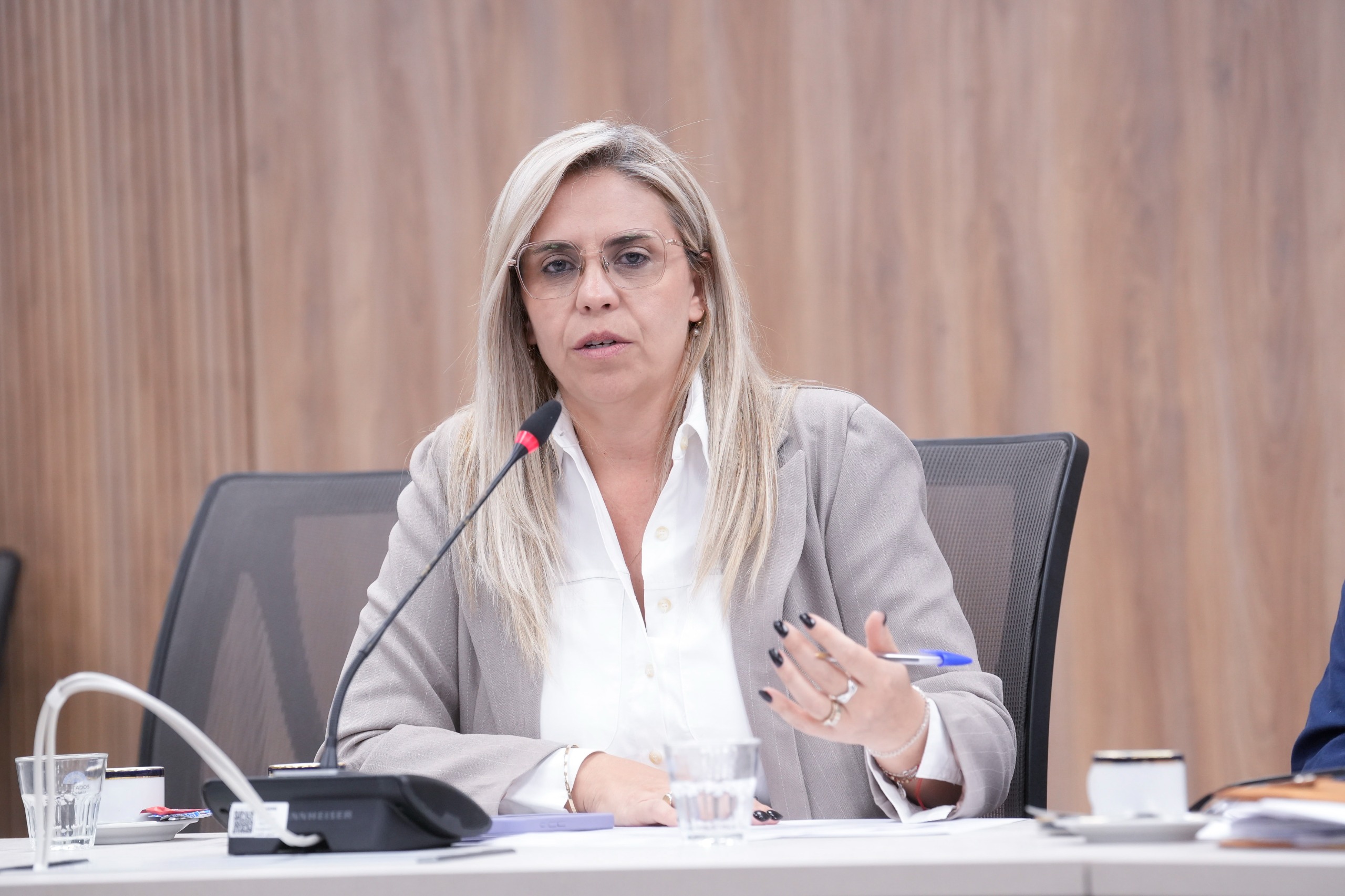 Galeria de imagenes de la noticia DIPUTADOS ABORDARON LA ACTUALIDAD DE LA MINERÍA