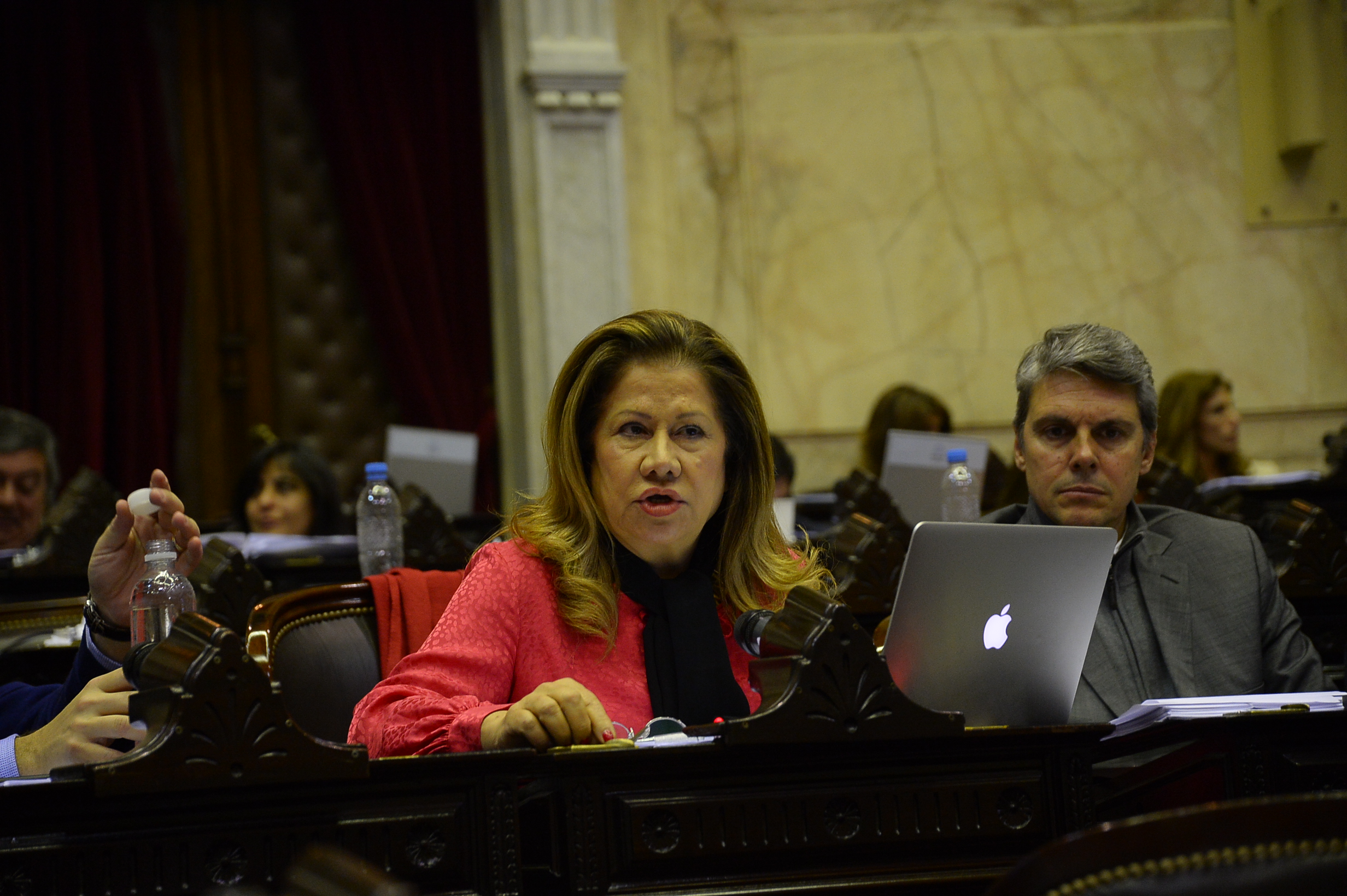 Galeria de imagenes de la noticia DIPUTADOS YA ENVIÓ AL SENADO EL PROYECTO DE PRESUPUESTO PARA EL 2019