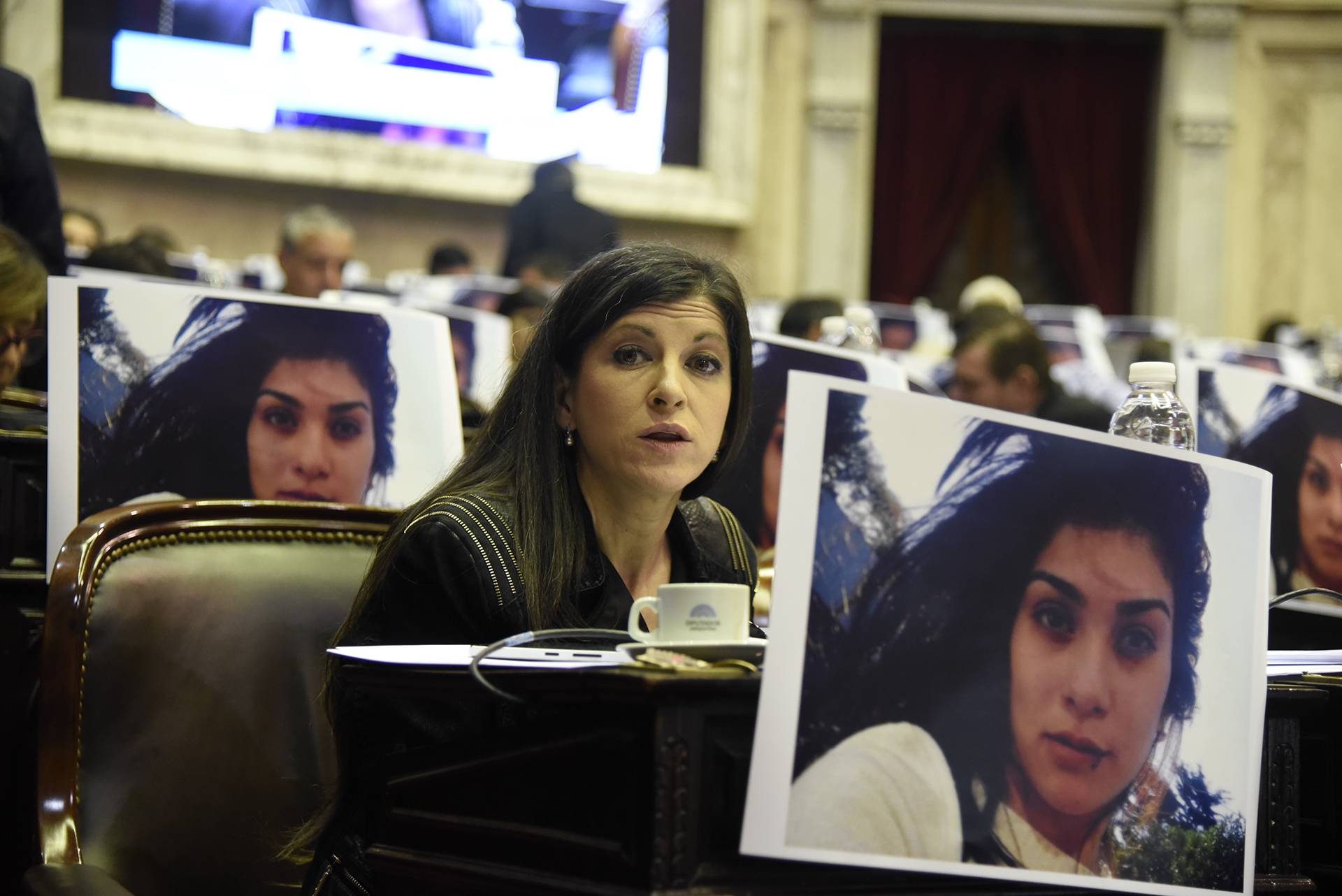 Galeria de imagenes de la noticia CON 125 VOTOS AFIRMATIVOS, DIPUTADOS SANCIONÓ LOS CAMBIOS EN BIENES PERSONALES