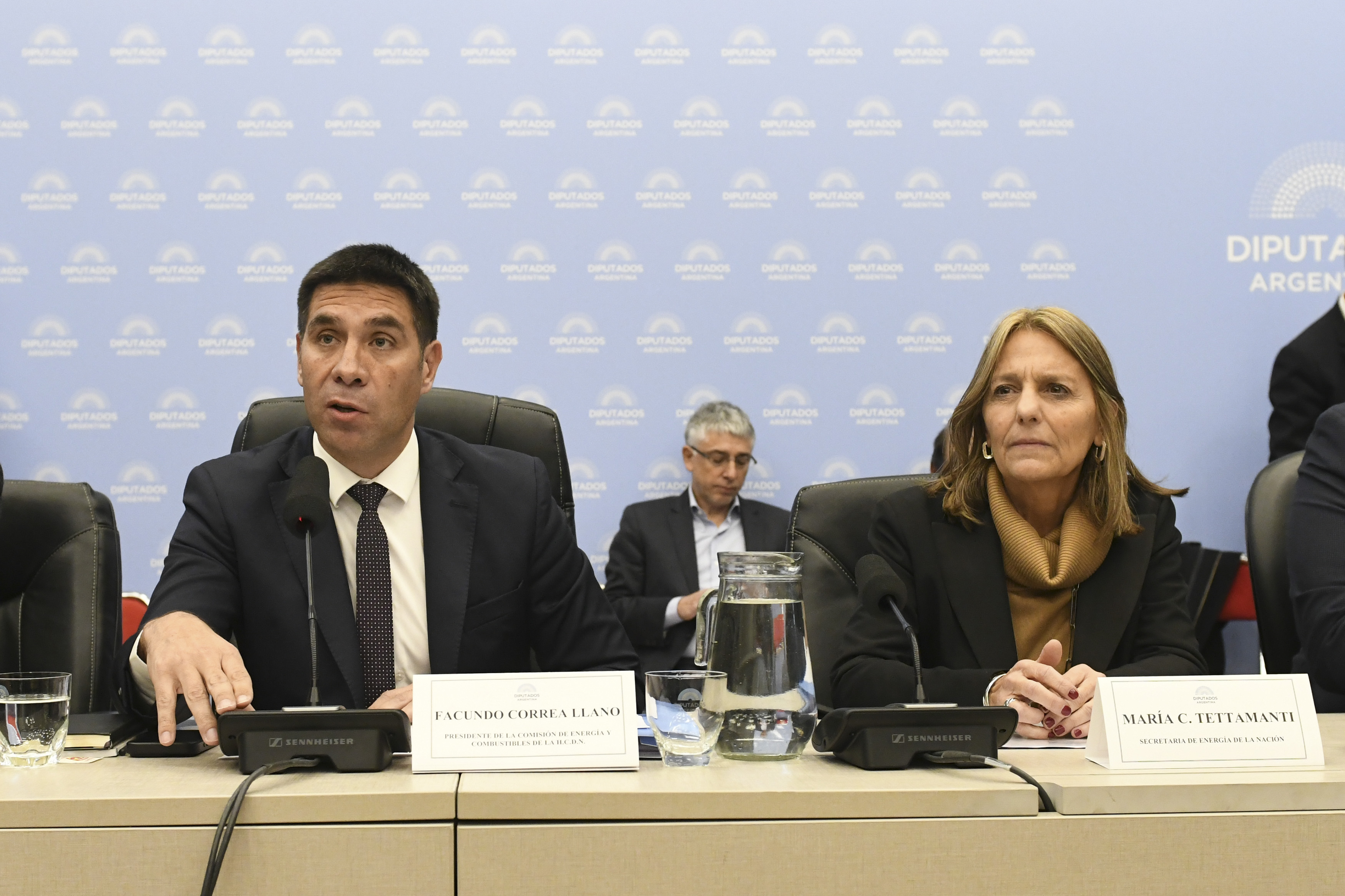 Galeria de imagenes de la noticia OBTUVO DICTAMEN DE MAYORÍA LA READECUACIÓN DEL REGIMEN DE SUBSIDIOS DE GAS EN ZONAS FRÍAS