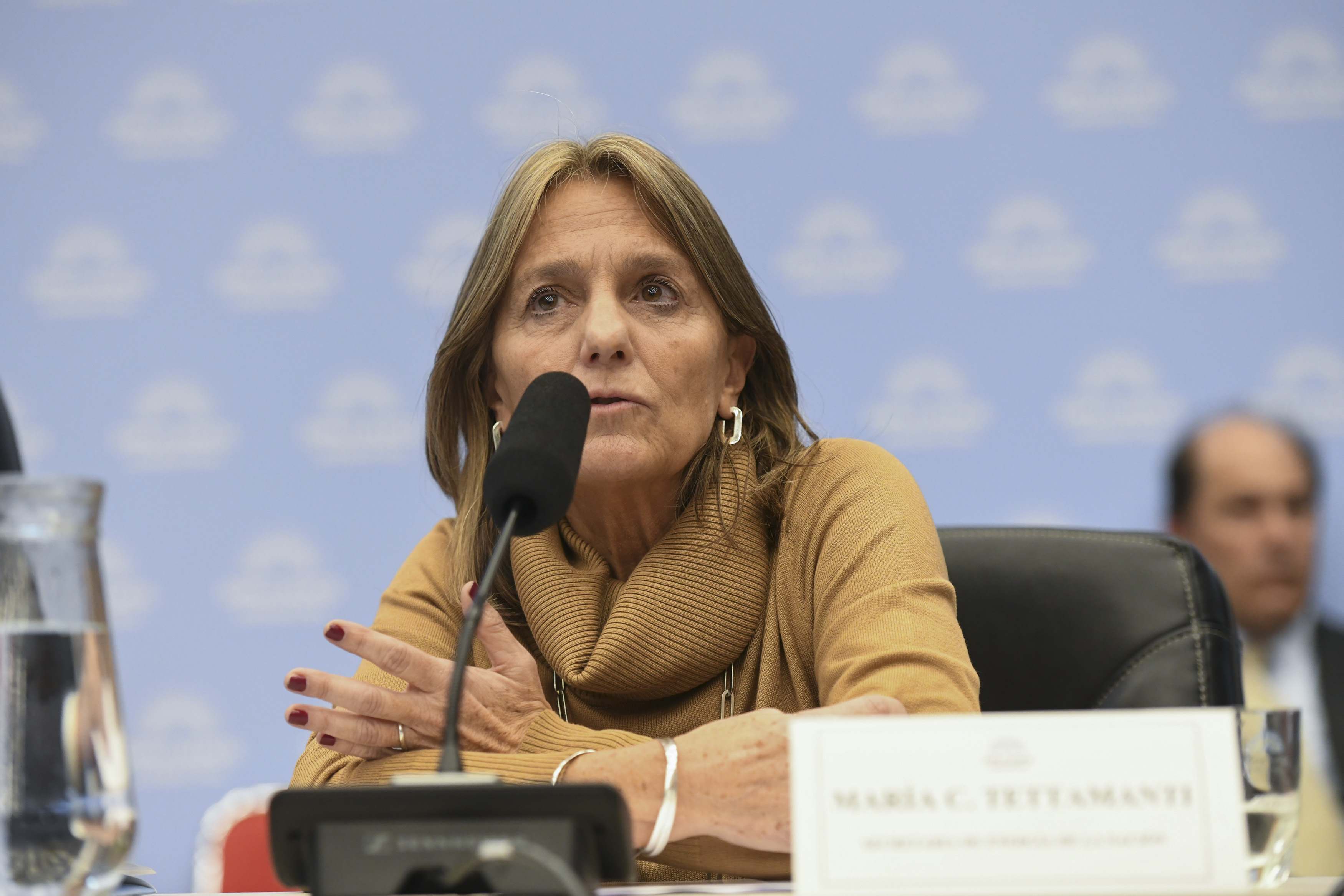 Galeria de imagenes de la noticia OBTUVO DICTAMEN DE MAYORÍA LA READECUACIÓN DEL REGIMEN DE SUBSIDIOS DE GAS EN ZONAS FRÍAS