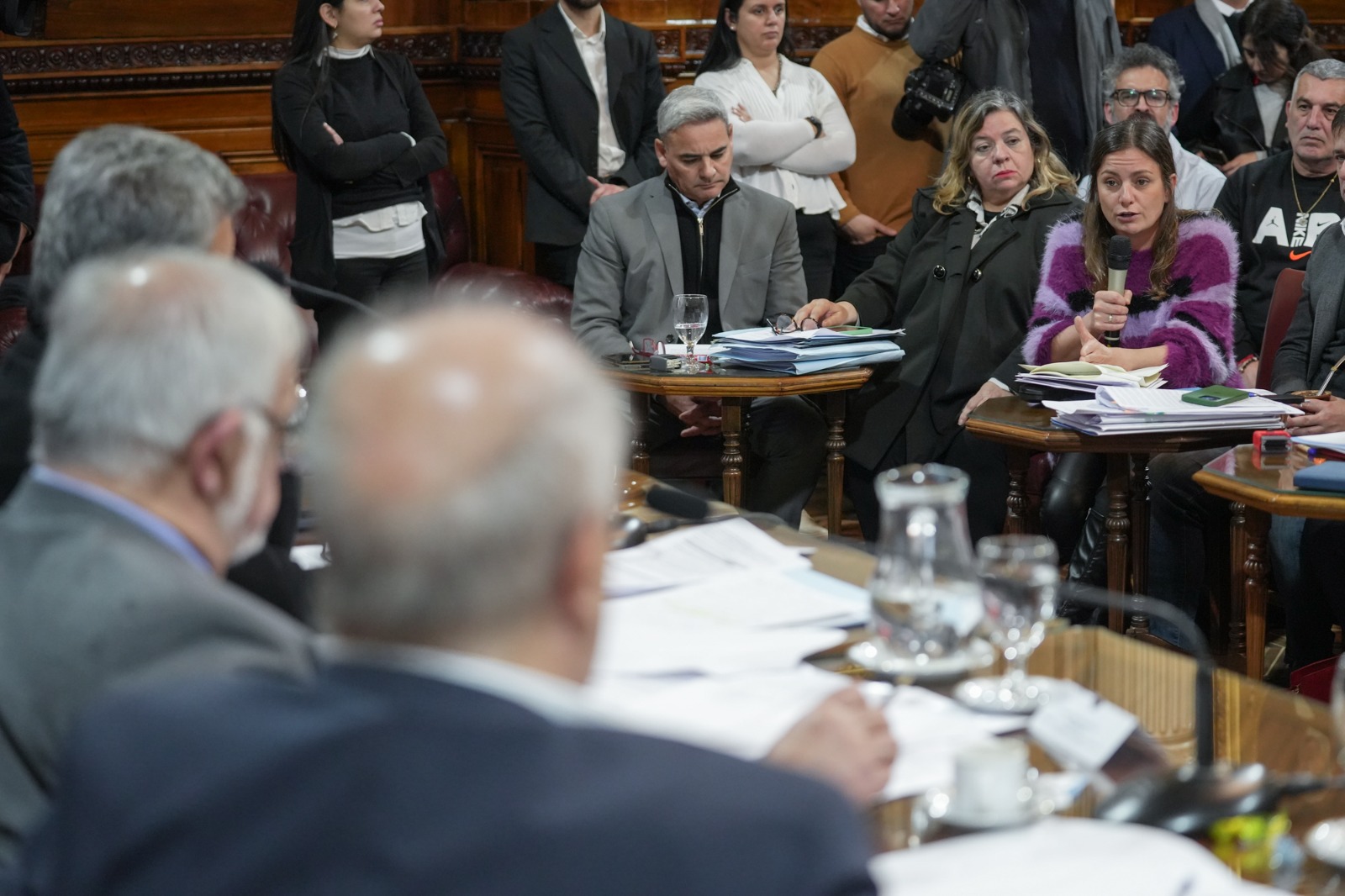 Galeria de imagenes de la noticia BICAMERAL DE TRÁMITE LEGISLATIVO ANALIZÓ DECRETOS DE LAS PRESIDENCIAS DE MACRI, FERNÁNDEZ Y MILEI 