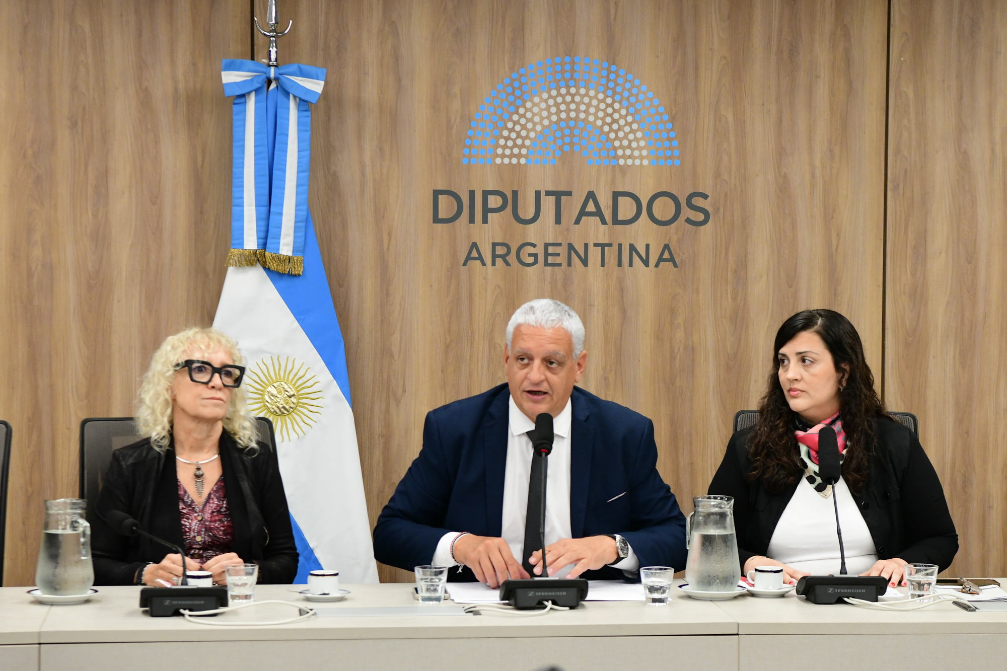 Galeria de imagenes de la noticia DIPUTADOS AVANZÓ EN LA CONFORMACIÓN DE DOS NUEVAS COMISIONES