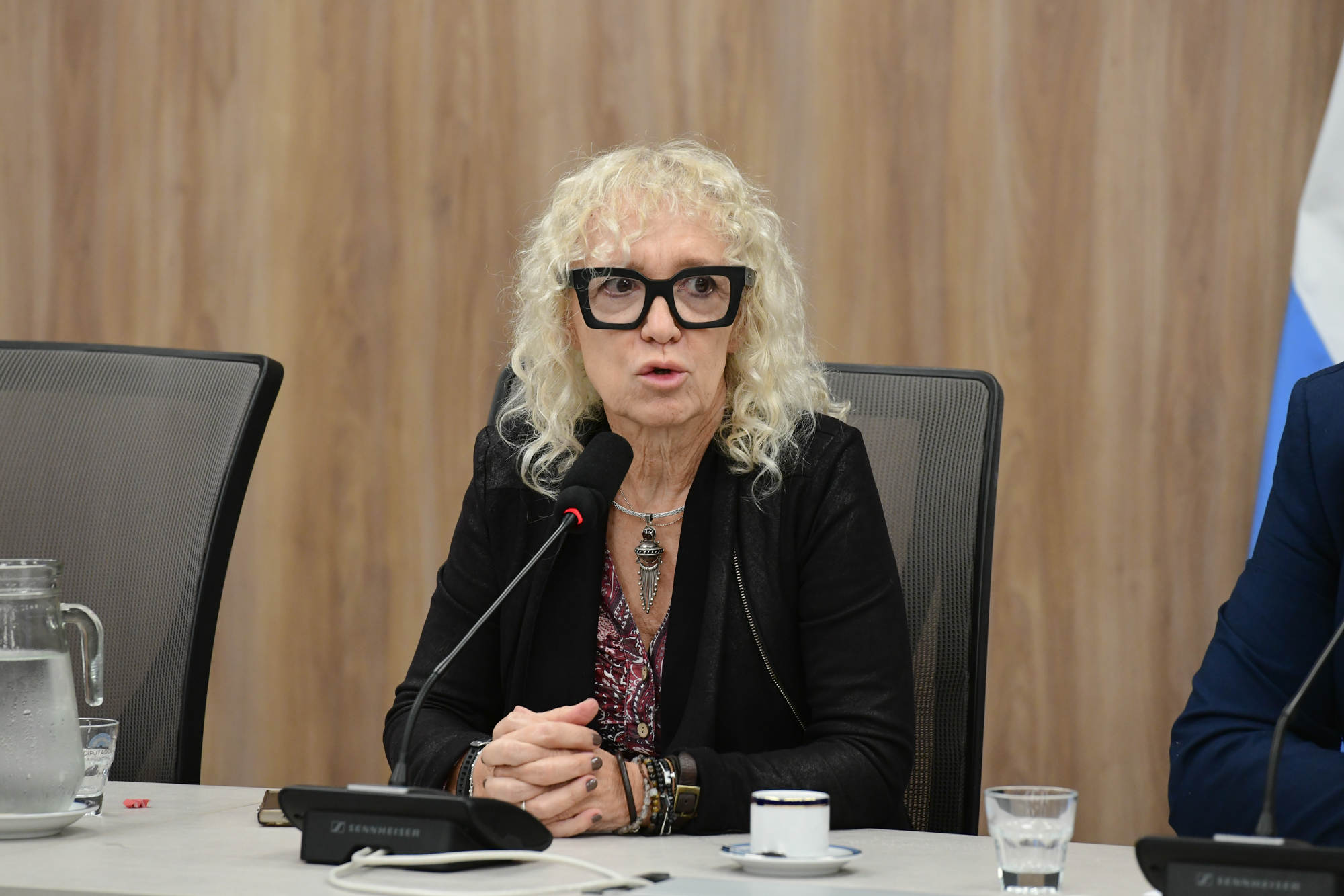 Galeria de imagenes de la noticia DIPUTADOS AVANZÓ EN LA CONFORMACIÓN DE DOS NUEVAS COMISIONES