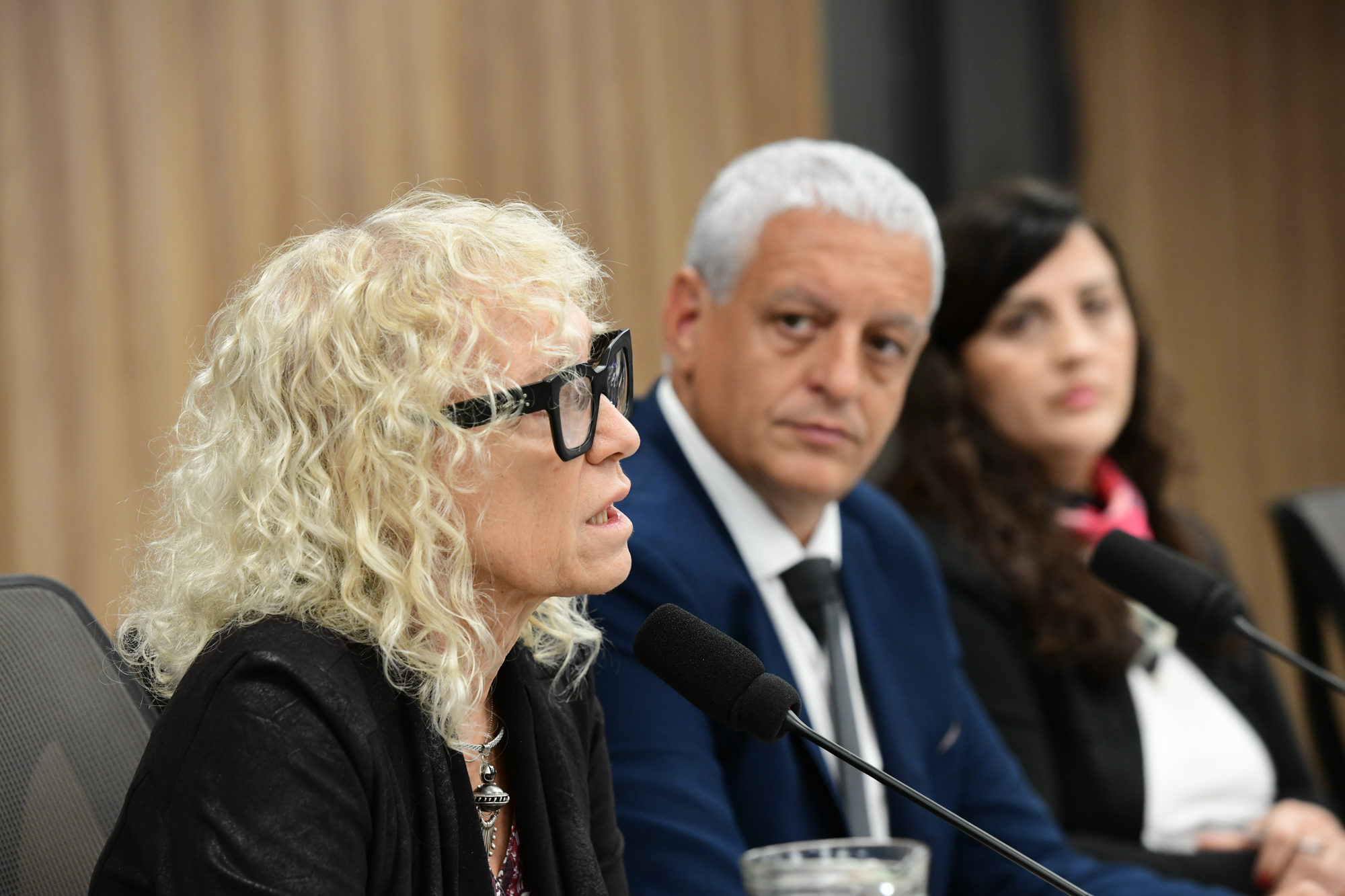 Galeria de imagenes de la noticia DIPUTADOS AVANZÓ EN LA CONFORMACIÓN DE DOS NUEVAS COMISIONES