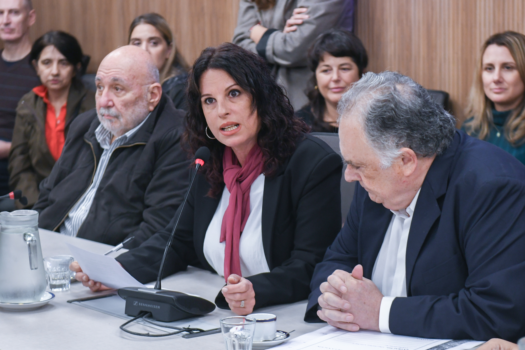 Galeria de imagenes de la noticia DIPUTADOS AVANZÓ EN LA CONFORMACIÓN DE DOS NUEVAS COMISIONES