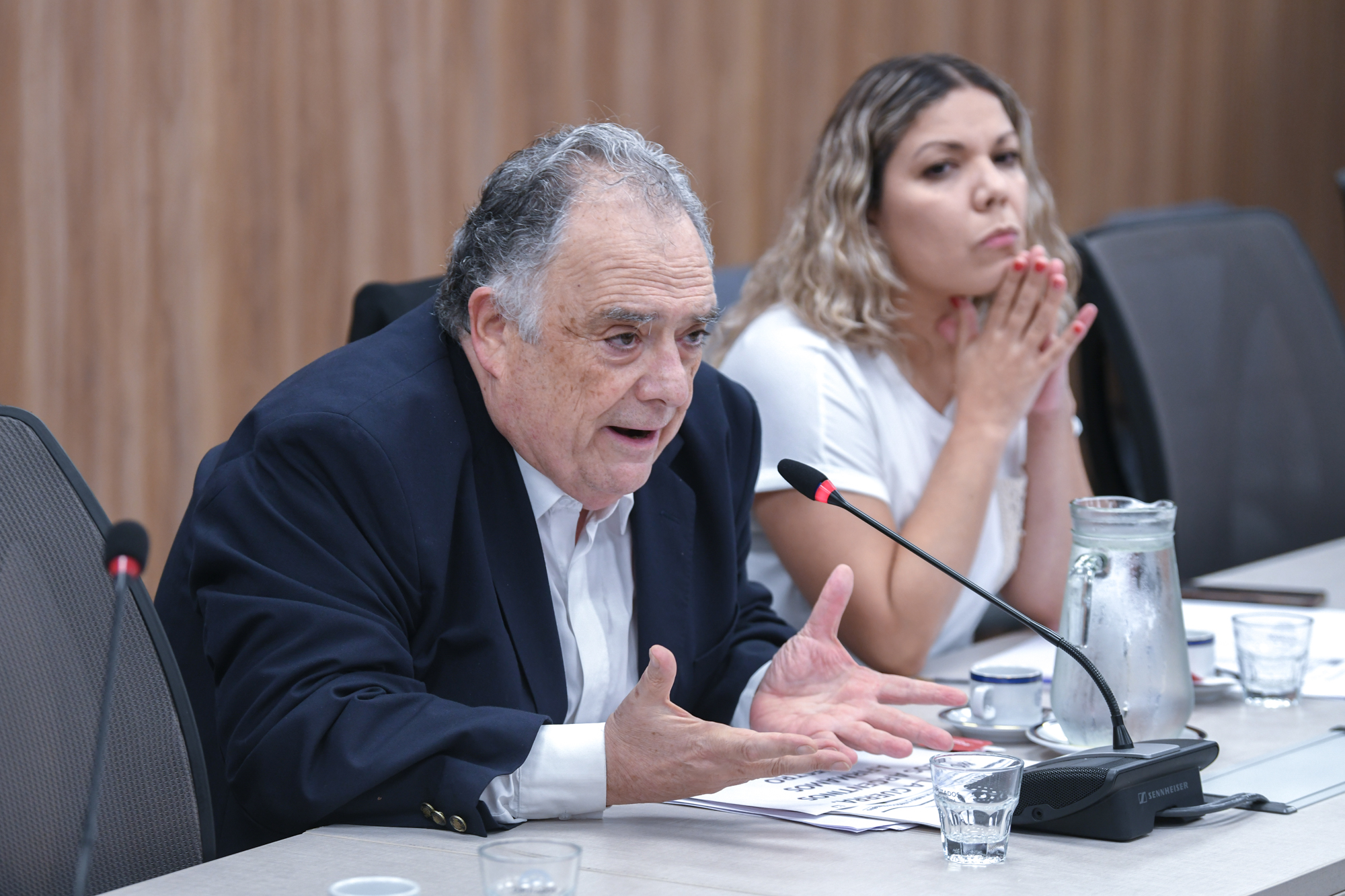 Galeria de imagenes de la noticia DIPUTADOS AVANZÓ EN LA CONFORMACIÓN DE DOS NUEVAS COMISIONES