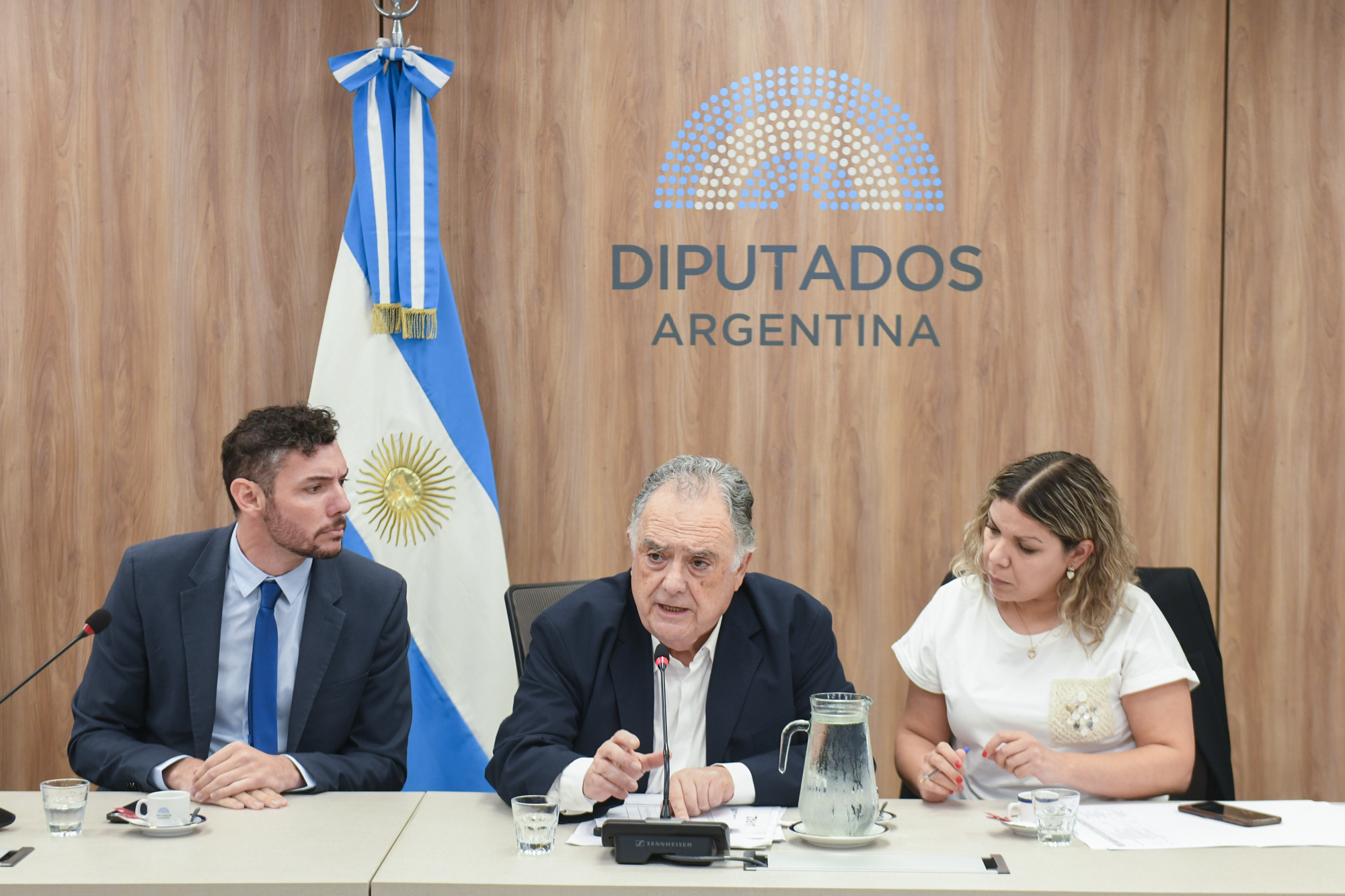 Galeria de imagenes de la noticia DIPUTADOS AVANZÓ EN LA CONFORMACIÓN DE DOS NUEVAS COMISIONES