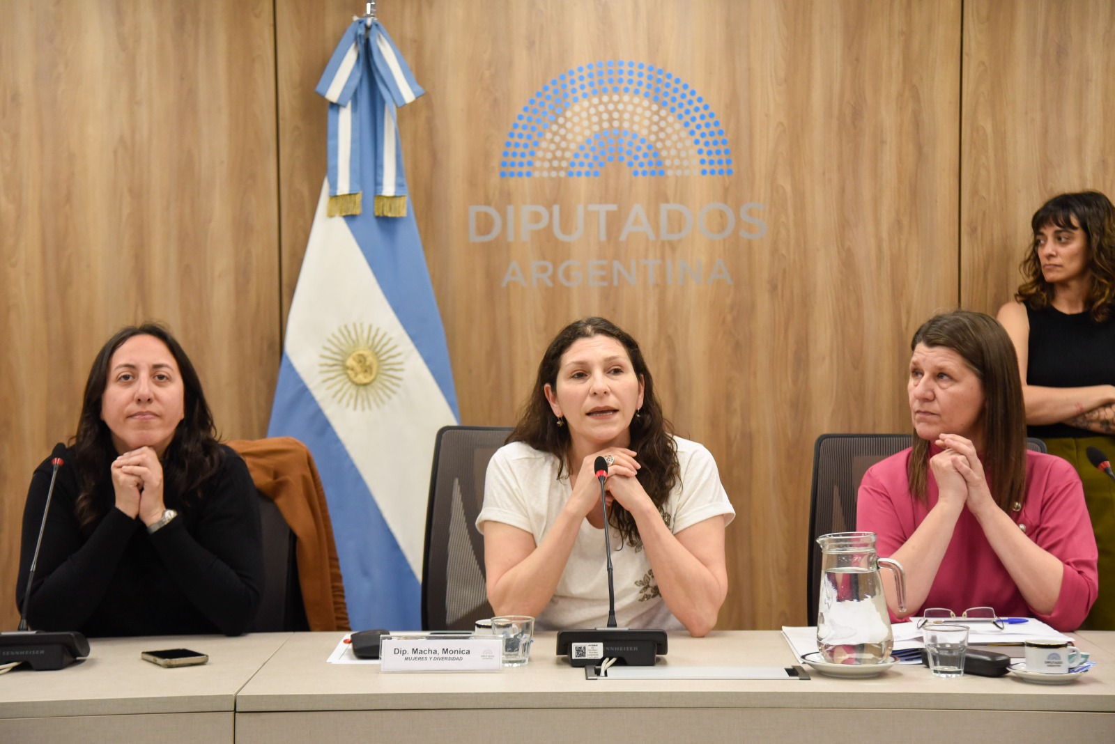 Galeria de imagenes de la noticia ORGANIZACIONES DISERTARON ANTE LA COMISIÓN DE MUJERES Y DIVERSIDAD 