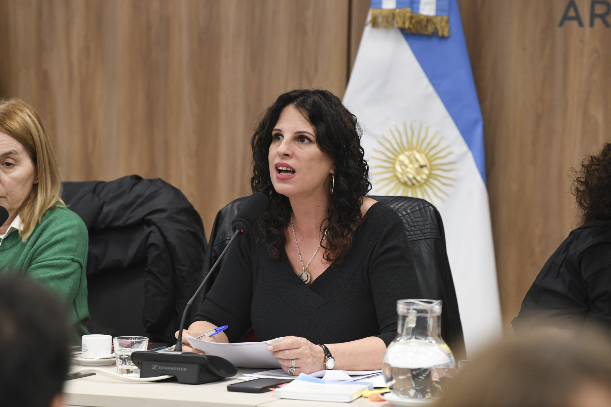 Galeria de imagenes de la noticia CON INVITADOS, LA COMISIÓN DE CULTURA RECONOCIÓ INICIATIVAS LOCALES Y REGIONALES