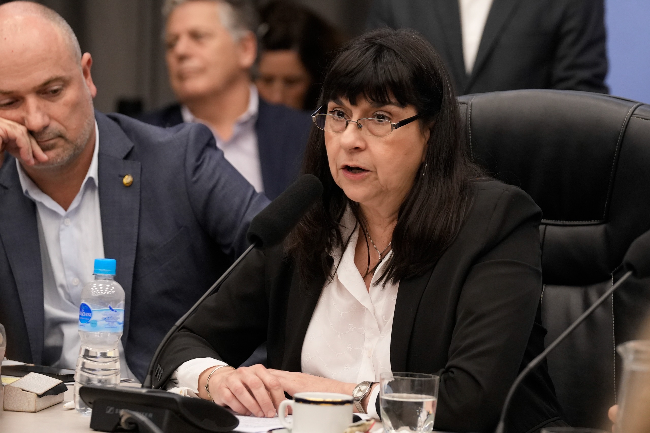 Galeria de imagenes de la noticia LA MODIFICACIÓN DE LA LEY DE GLACIARES OBTUVO DICTAMEN Y SERÁ DEBATIDA MAÑANA EN EL RECINTO