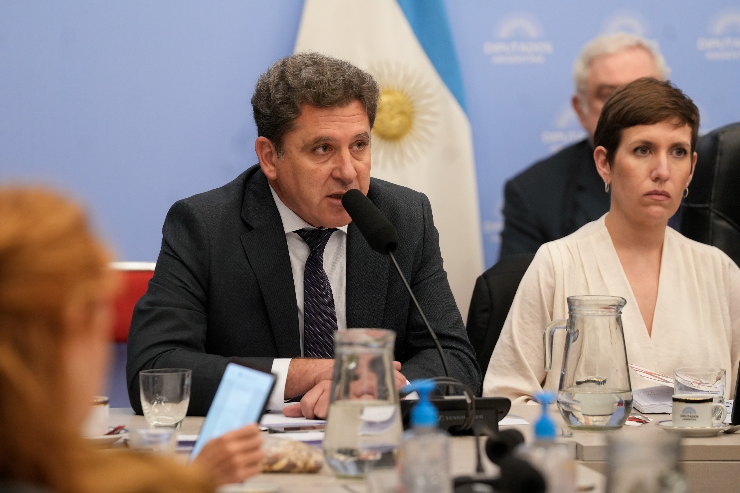 Galeria de imagenes de la noticia LA MODIFICACIÓN DE LA LEY DE GLACIARES OBTUVO DICTAMEN Y SERÁ DEBATIDA MAÑANA EN EL RECINTO