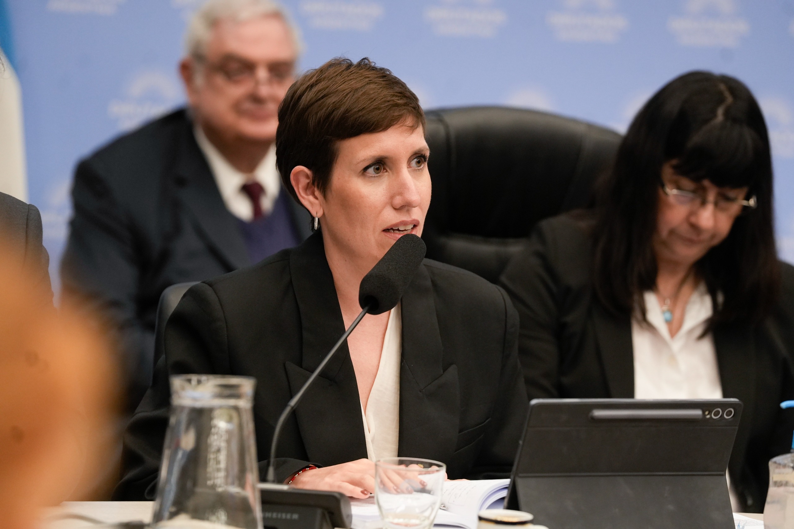 Galeria de imagenes de la noticia LA MODIFICACIÓN DE LA LEY DE GLACIARES OBTUVO DICTAMEN Y SERÁ DEBATIDA MAÑANA EN EL RECINTO