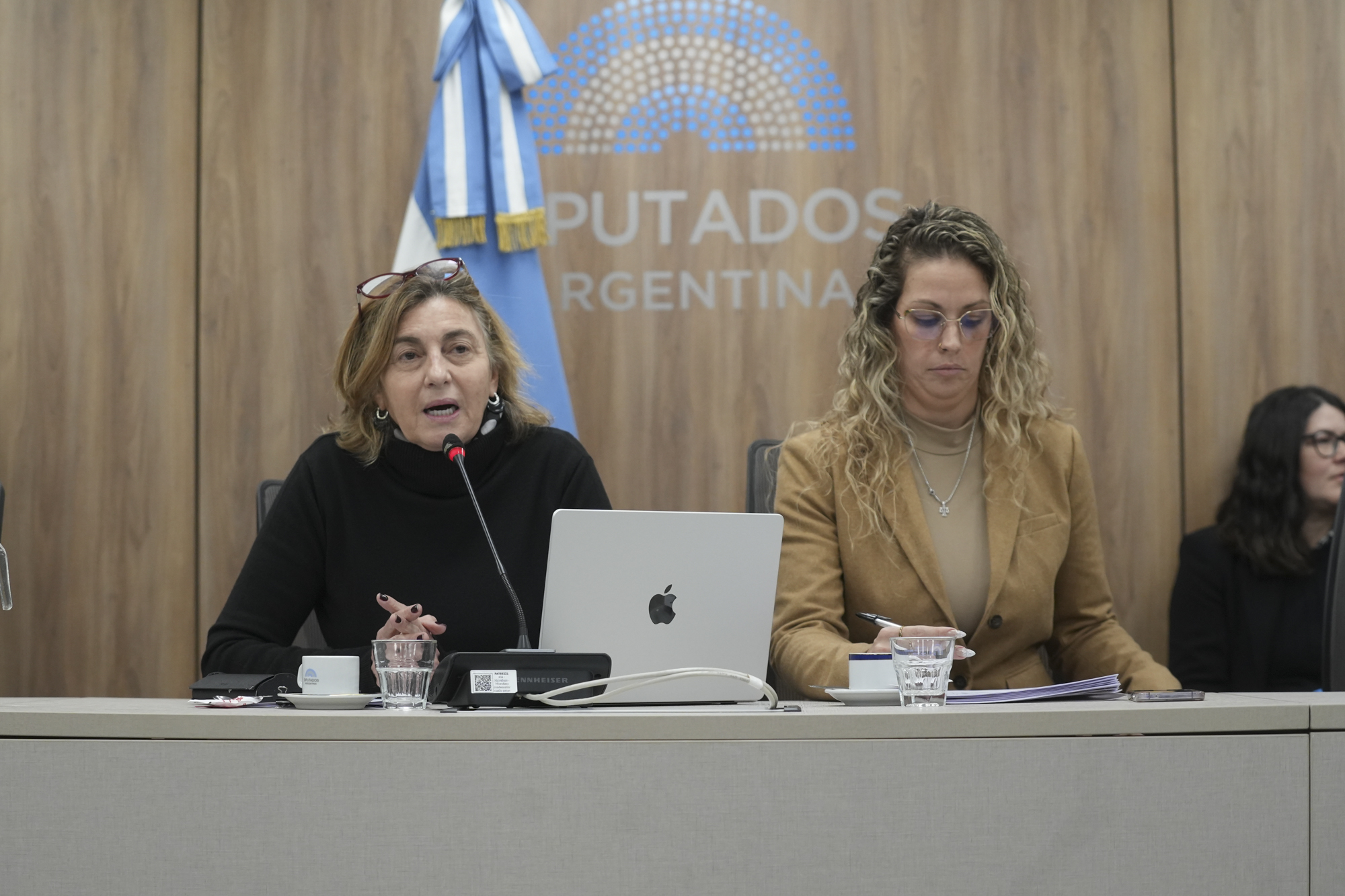Galeria de imagenes de la noticia LA COMISIÓN DE EDUCACIÓN APROBÓ PROYECTOS DE RESOLUCIÓN Y DECLARACIÓN
