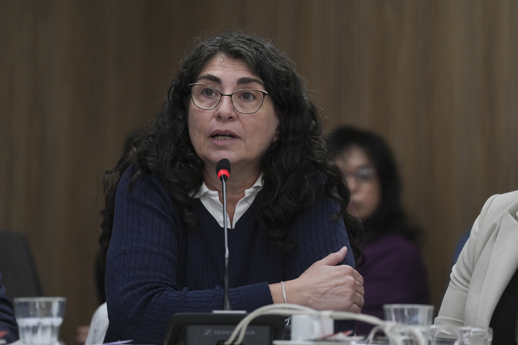 Galeria de imagenes de la noticia LA COMISIÓN DE EDUCACIÓN APROBÓ PROYECTOS DE RESOLUCIÓN Y DECLARACIÓN