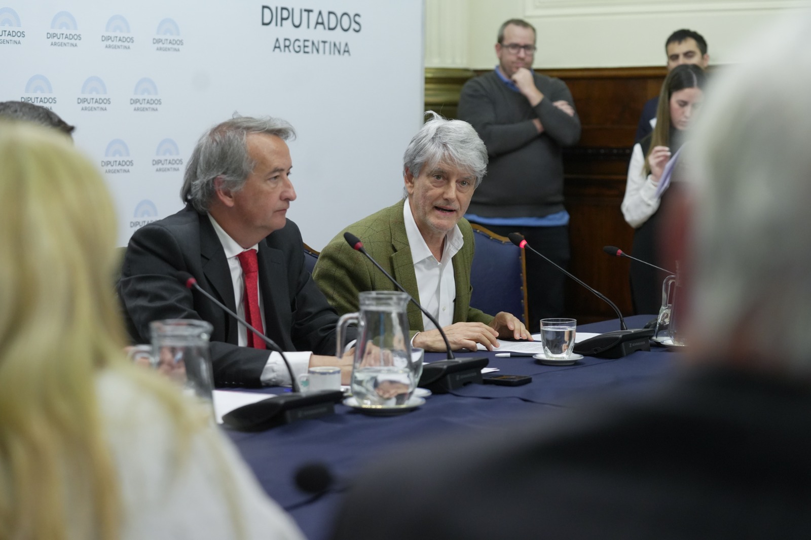 Galeria de imagenes de la noticia CON ESPECIALISTAS, DIPUTADOS PROFUNDIZA EL DEBATE SOBRE LOS PROYECTOS DE FICHA LIMPIA 