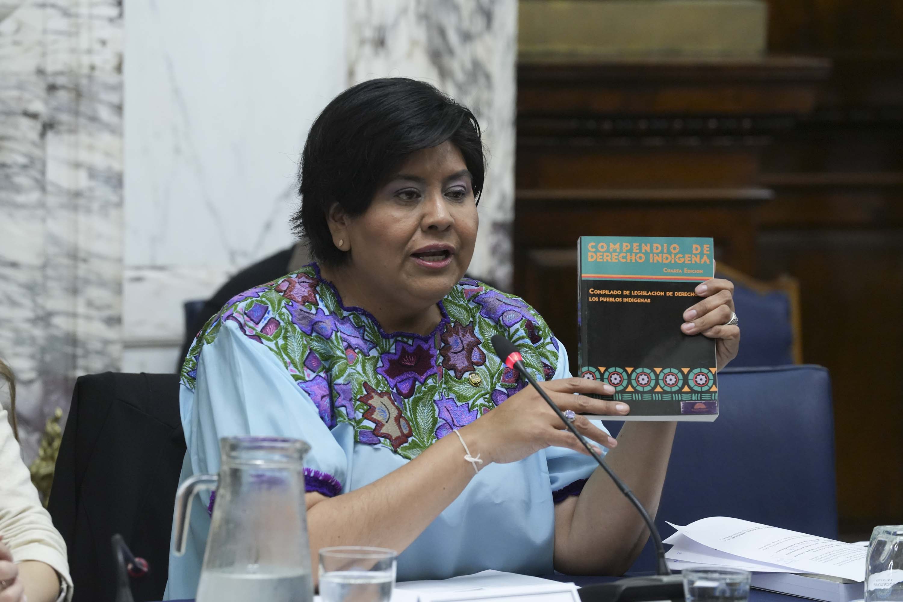 Galeria de imagenes de la noticia GPA CON BOLIVIA RECIBÓ A UNA DELEGACIÓN DE LA COMISIÓN DE NACIONES Y PUEBLOS INDÍGENAS ORIGINARIOS 