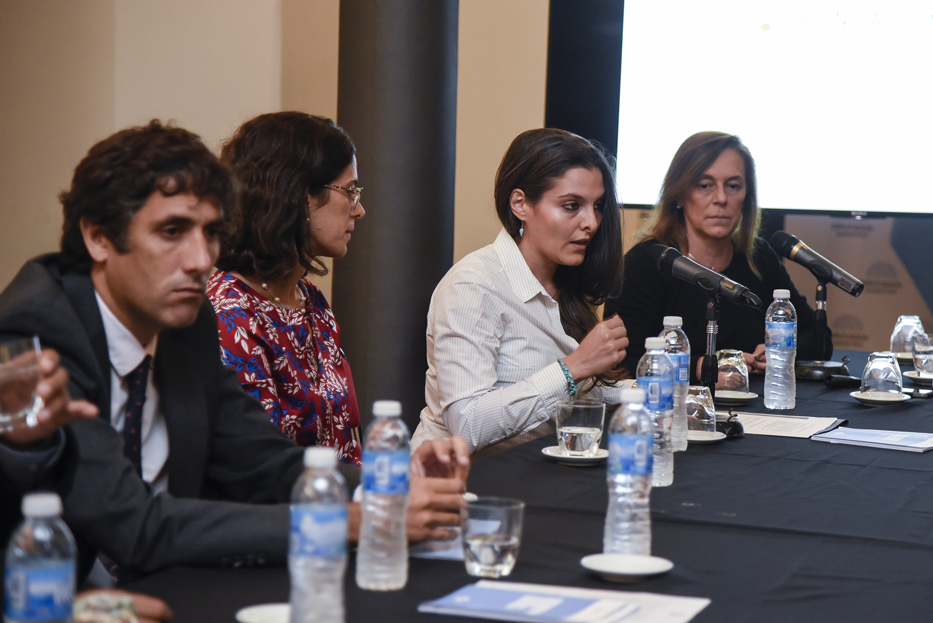 Galeria de imagenes de la noticia JORNADAS INTERNACIONALES PARA FORTALECER EL ROL DE LOS CONGRESOS