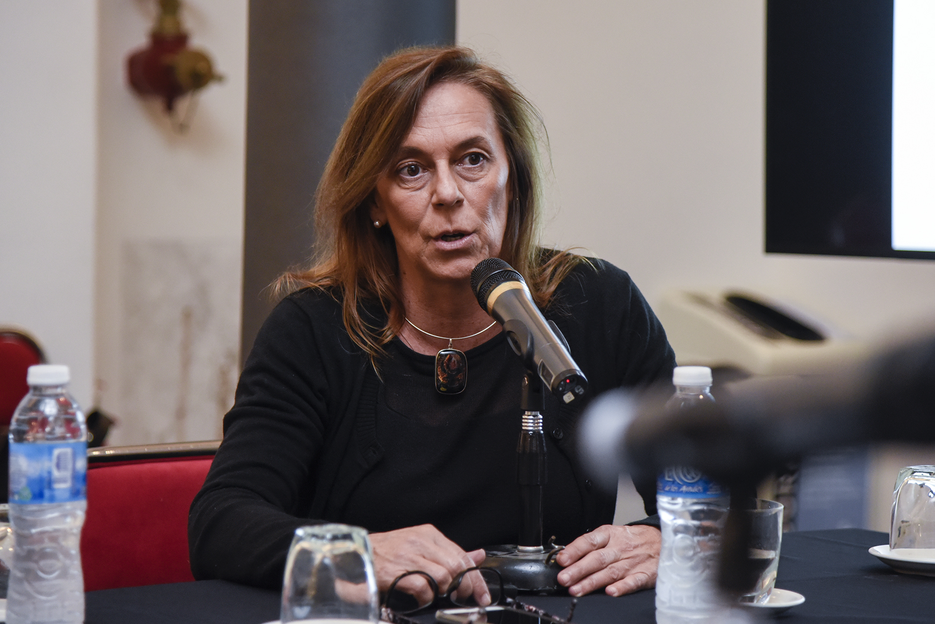 Galeria de imagenes de la noticia JORNADAS INTERNACIONALES PARA FORTALECER EL ROL DE LOS CONGRESOS