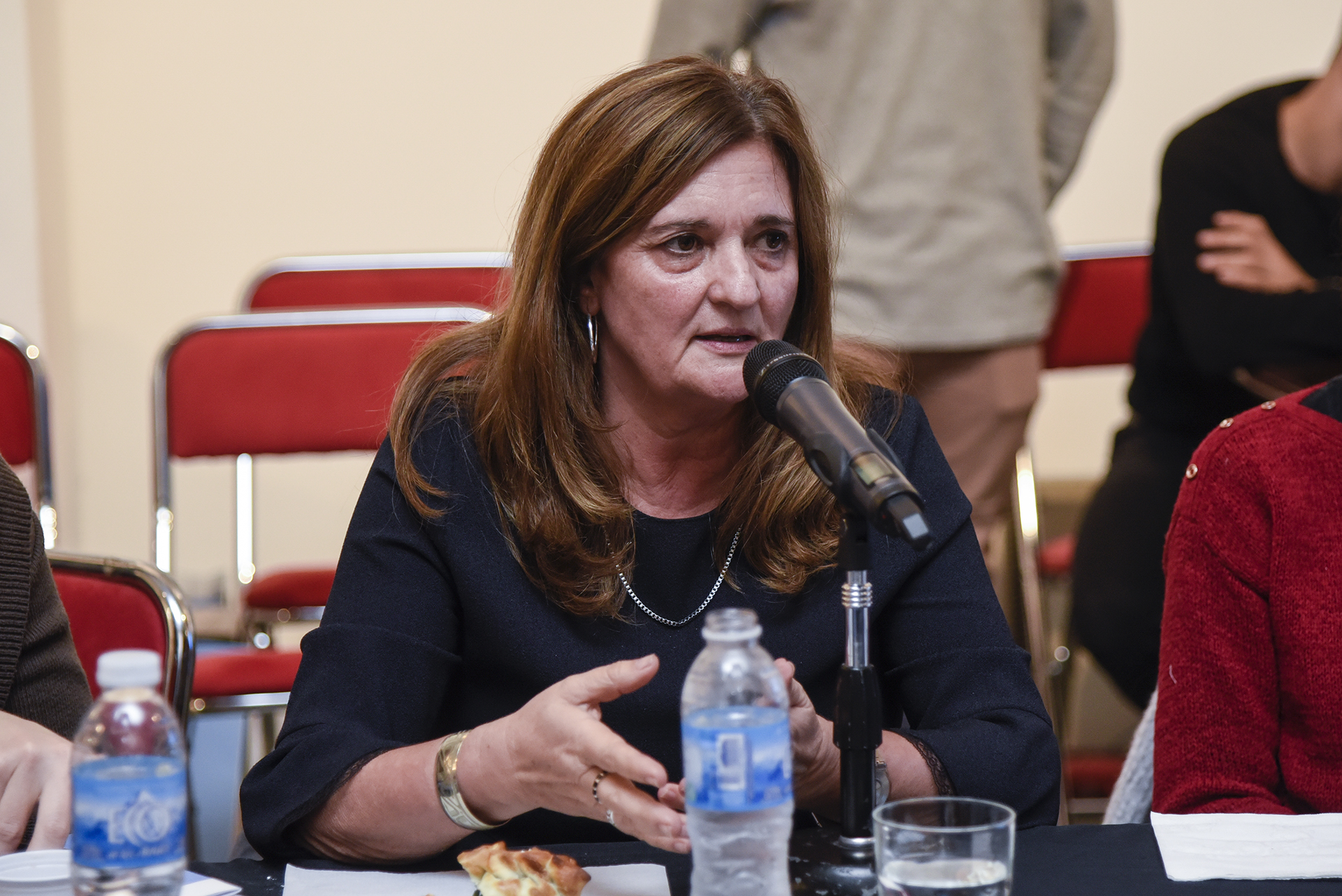 Galeria de imagenes de la noticia JORNADAS INTERNACIONALES PARA FORTALECER EL ROL DE LOS CONGRESOS