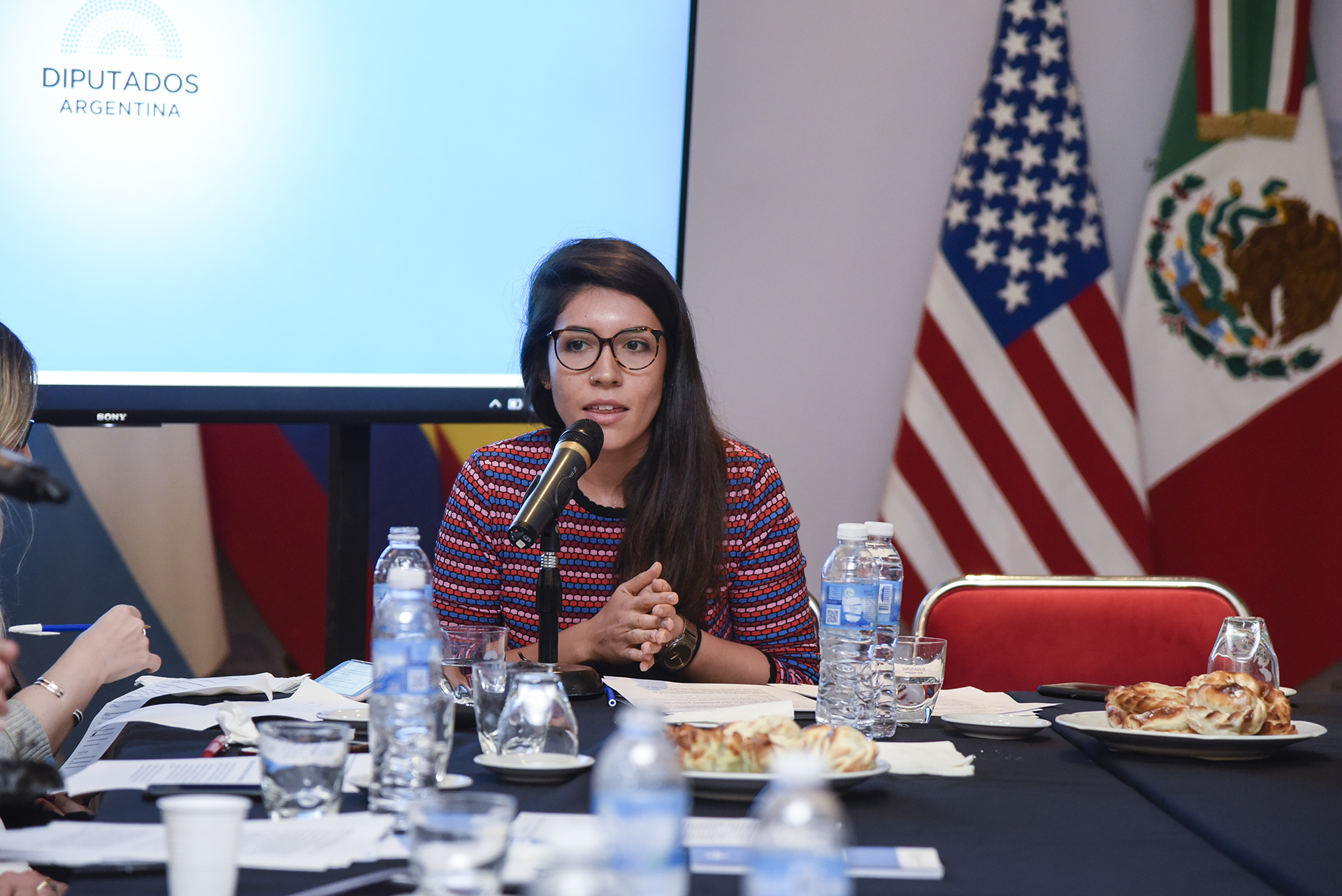 Galeria de imagenes de la noticia JORNADAS INTERNACIONALES PARA FORTALECER EL ROL DE LOS CONGRESOS