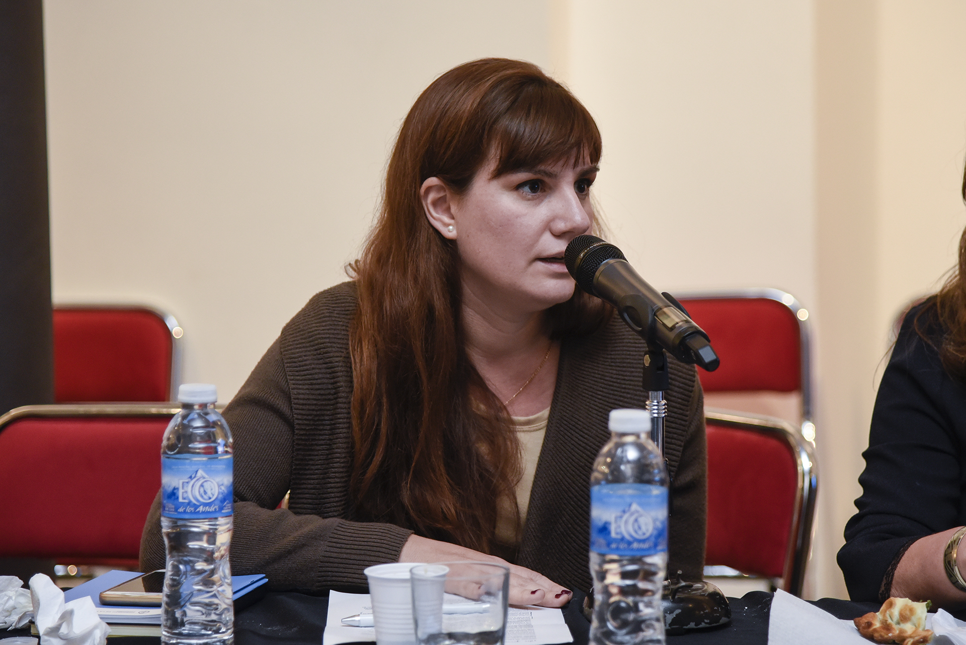 Galeria de imagenes de la noticia JORNADAS INTERNACIONALES PARA FORTALECER EL ROL DE LOS CONGRESOS