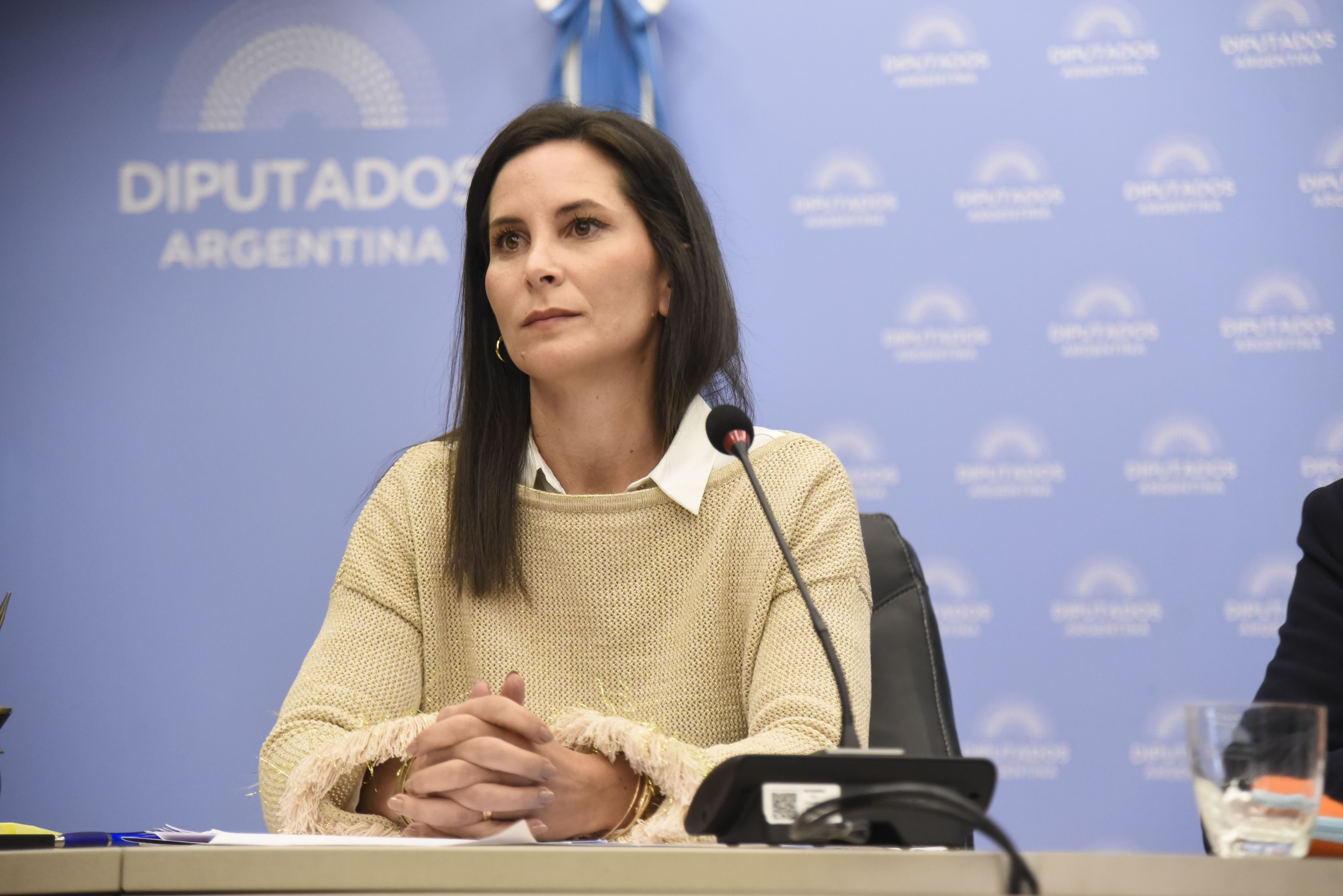 Galeria de imagenes de la noticia SE REALIZÓ EN DIPUTADOS UNA JORNADA SOBRE LUDOPATÍA EN LA NIÑEZ Y LA ADOLESCENCIA