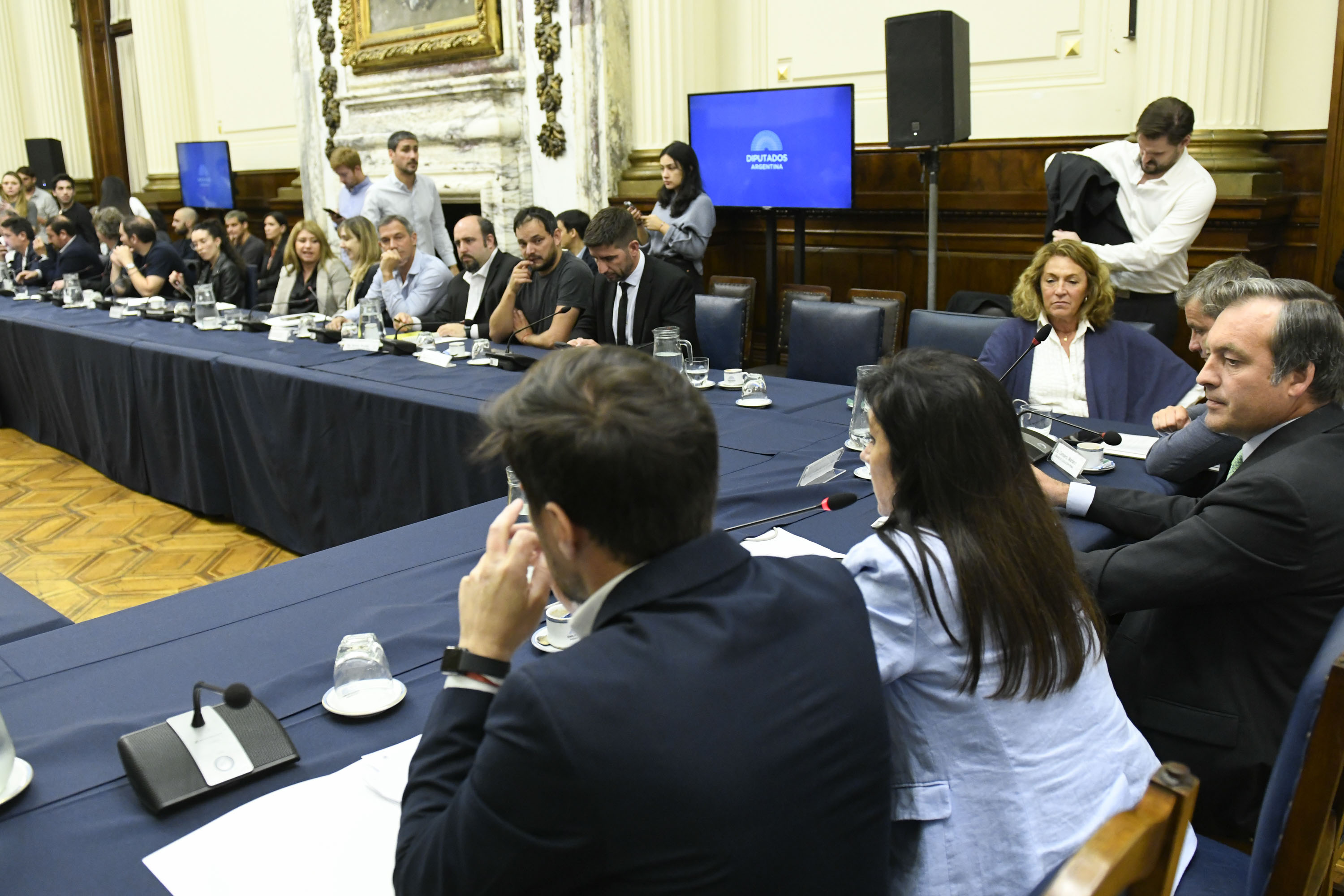 Galeria de imagenes de la noticia EN LEGISLACIÓN PENAL, OBTUVO DICTAMEN DE MAYORÍA EL PROYECTO SOBRE RESGUARDO DEL ORDEN PÚBLICO