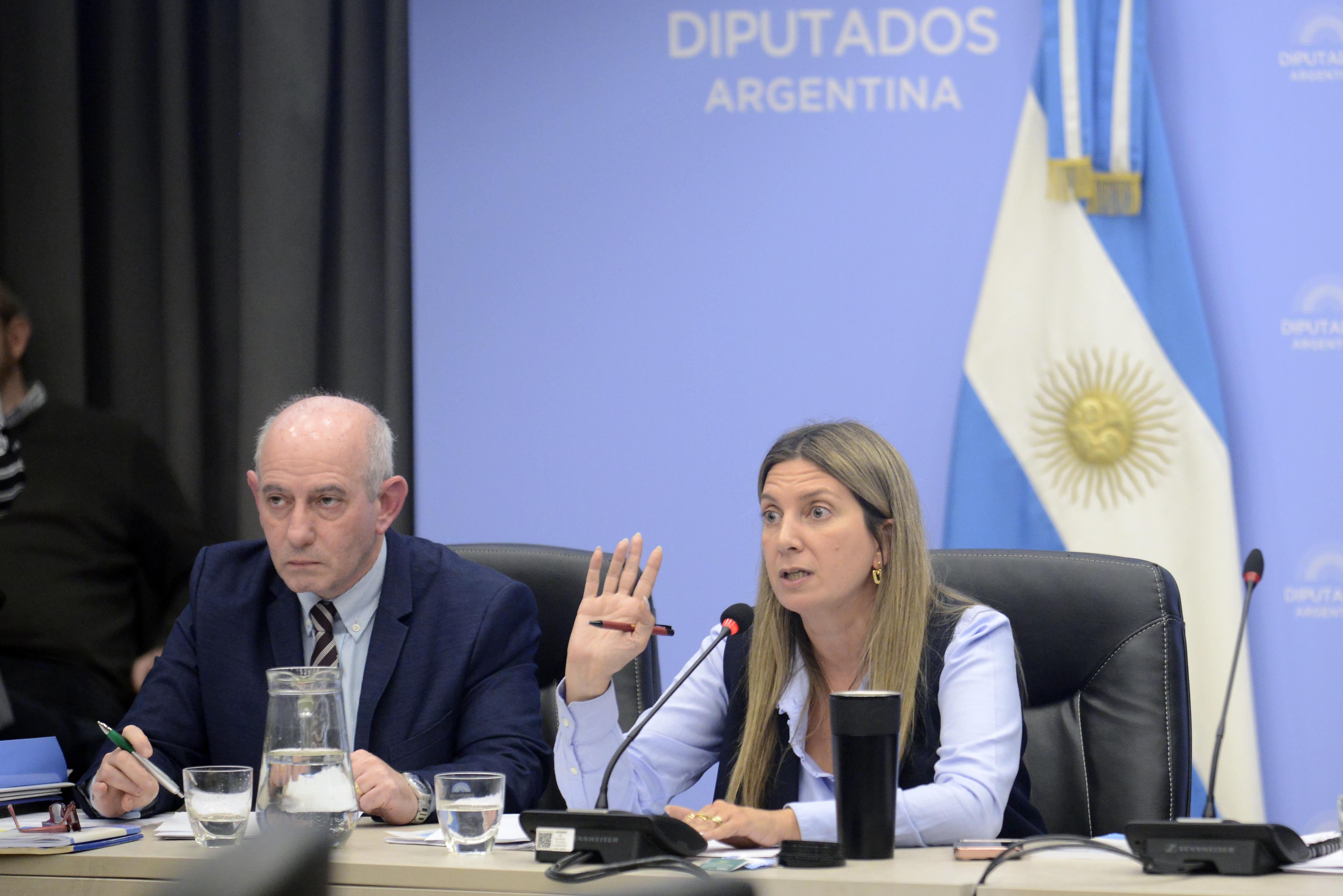 Galeria de imagenes de la noticia DIPUTADOS PRESENTARON ESCRITOS ANTE EL PLENARIO DE PETICIONES Y ASUNTOS CONSTITUCIONALES