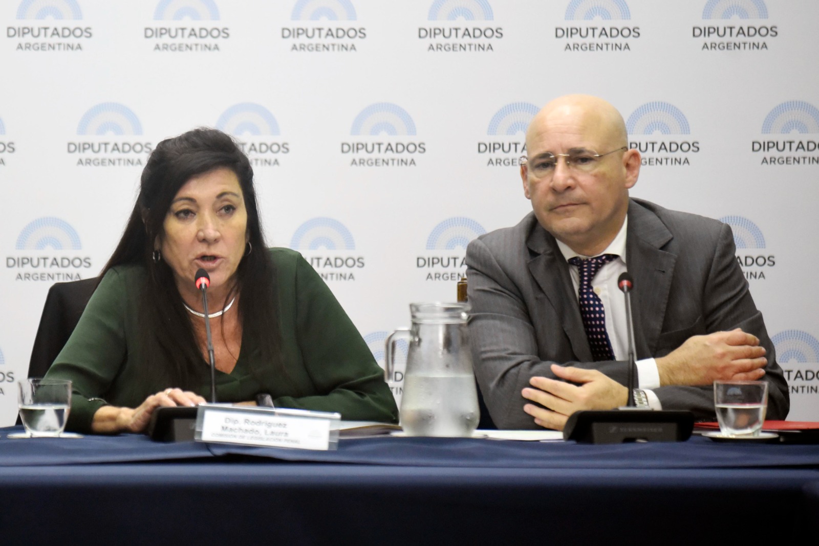 Galeria de imagenes de la noticia EN REUNIÓN PLENARIA, FUNCIONARIOS EXPUSIERON SOBRE EL PROYECTO DE JUICIO EN AUSENCIA