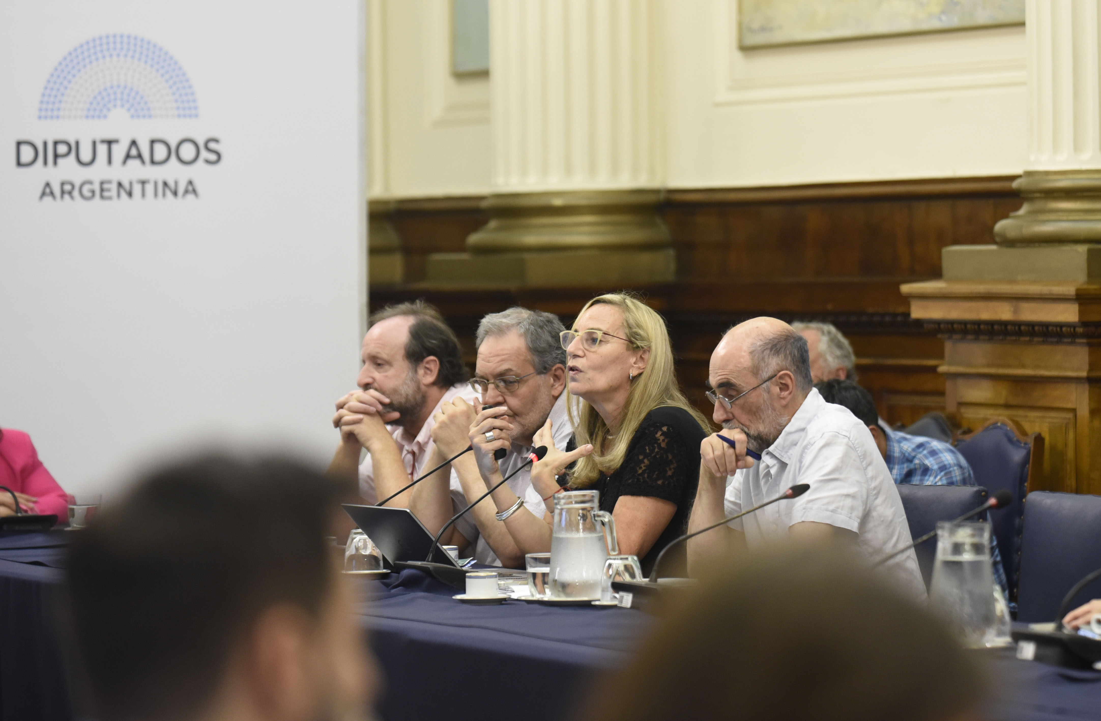 Galeria de imagenes de la noticia MIEMBROS DEL DIRECTORIO DEL CONICET PARTICIPARON DE LA REUNIÓN DE LA COMISIÓN DE CIENCIA Y TECNOLOGÍA