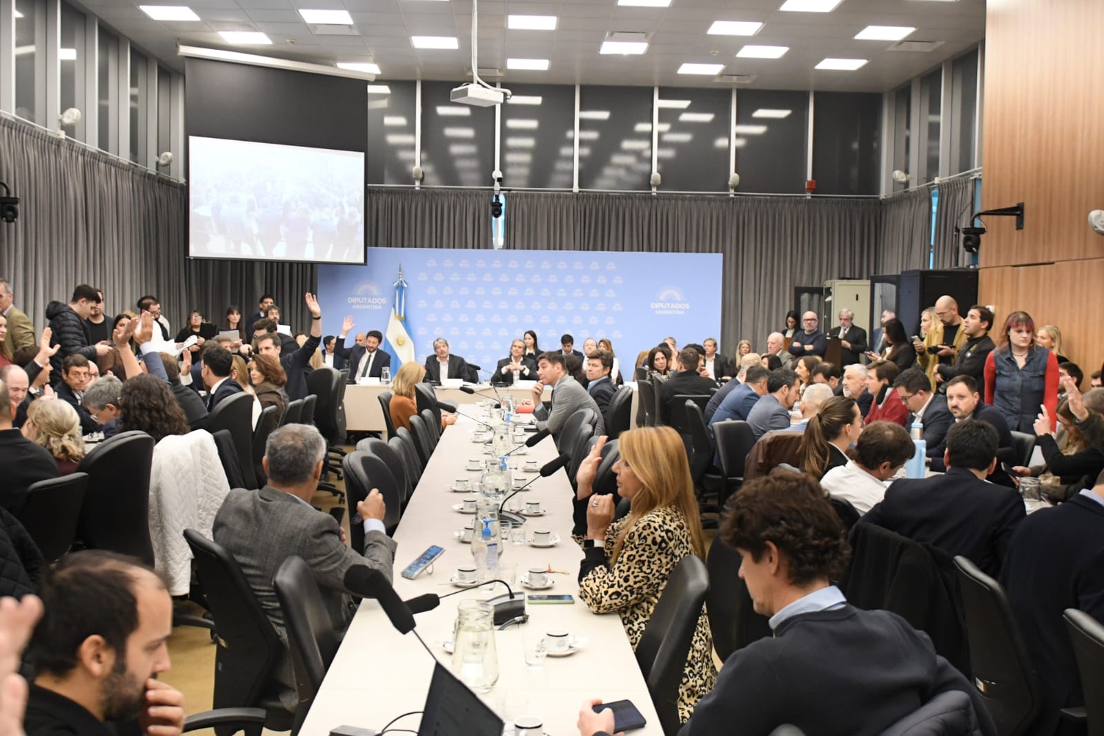 Galeria de imagenes de la noticia FUNCIONARIOS DE ECONOMÍA EXPLICARON EL RÉGIMEN DE INCENTIVO PARA GRANDES INVERSIONES EN DIPUTADOS