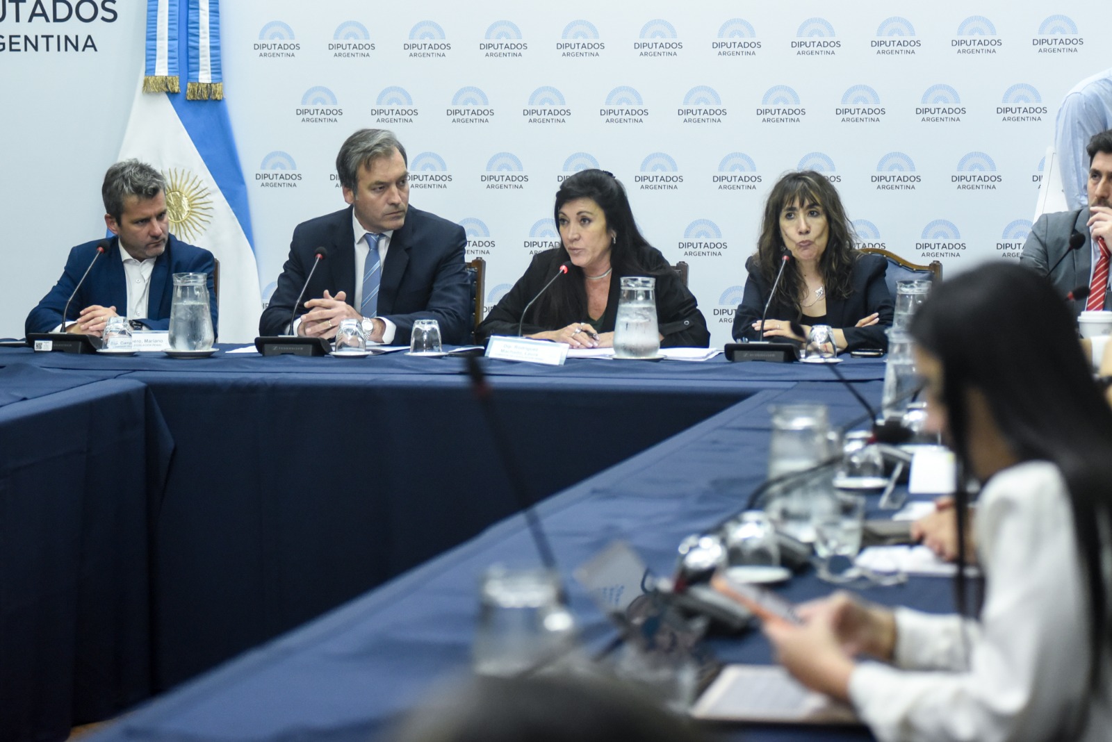 Galeria de imagenes de la noticia LA CÁMARA BAJA INICIÓ CON INVITADOS EL DEBATE QUE TIPIFICA LA SUSTRACCIÓN Y COMERCIALIZACIÓN DE MENORES 