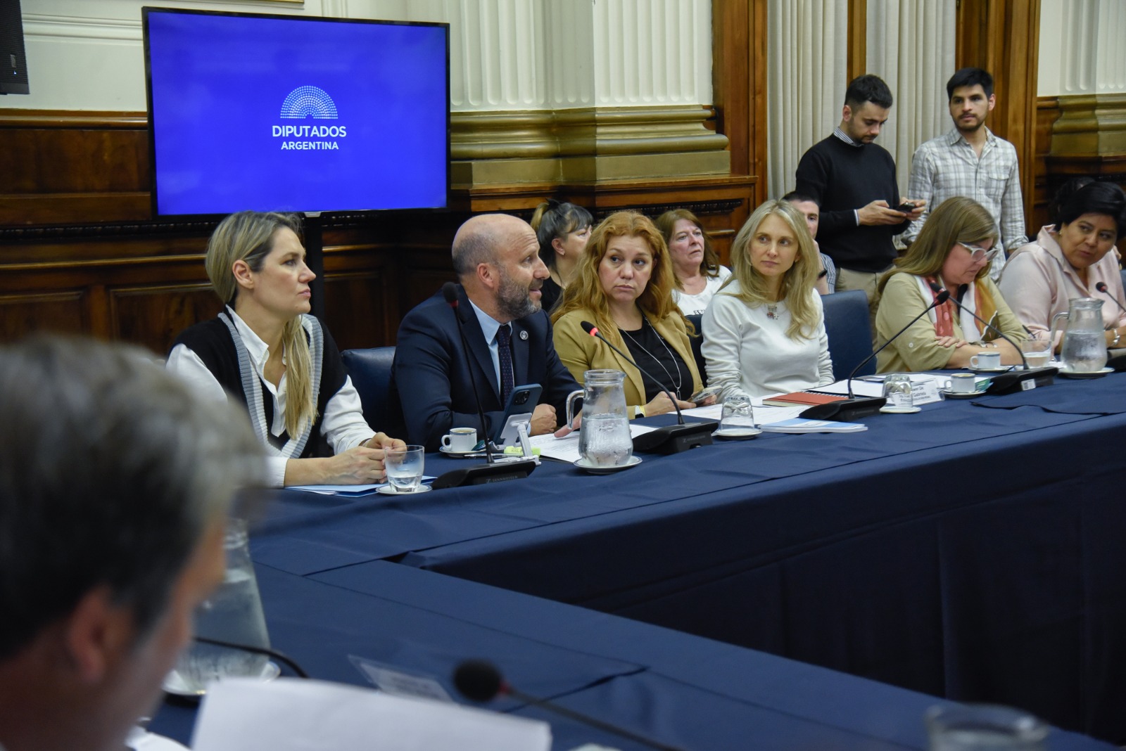 Galeria de imagenes de la noticia LA CÁMARA BAJA INICIÓ CON INVITADOS EL DEBATE QUE TIPIFICA LA SUSTRACCIÓN Y COMERCIALIZACIÓN DE MENORES 