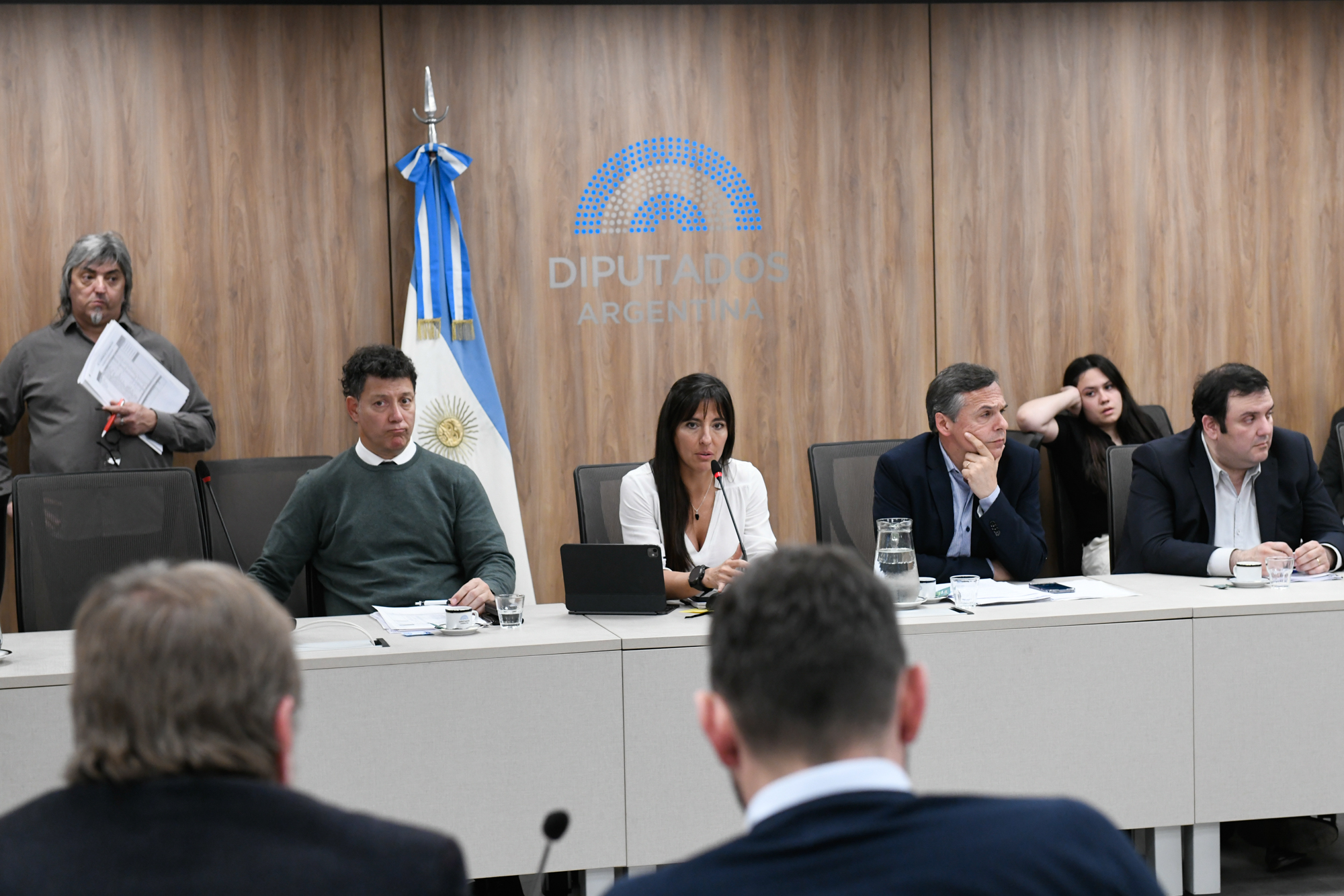 Galeria de imagenes de la noticia AVANZA EL PROYECTO QUE CREA EL FONDO COMPENSADOR TARIFARIO DEL TRANSPORTE PÚBLICO