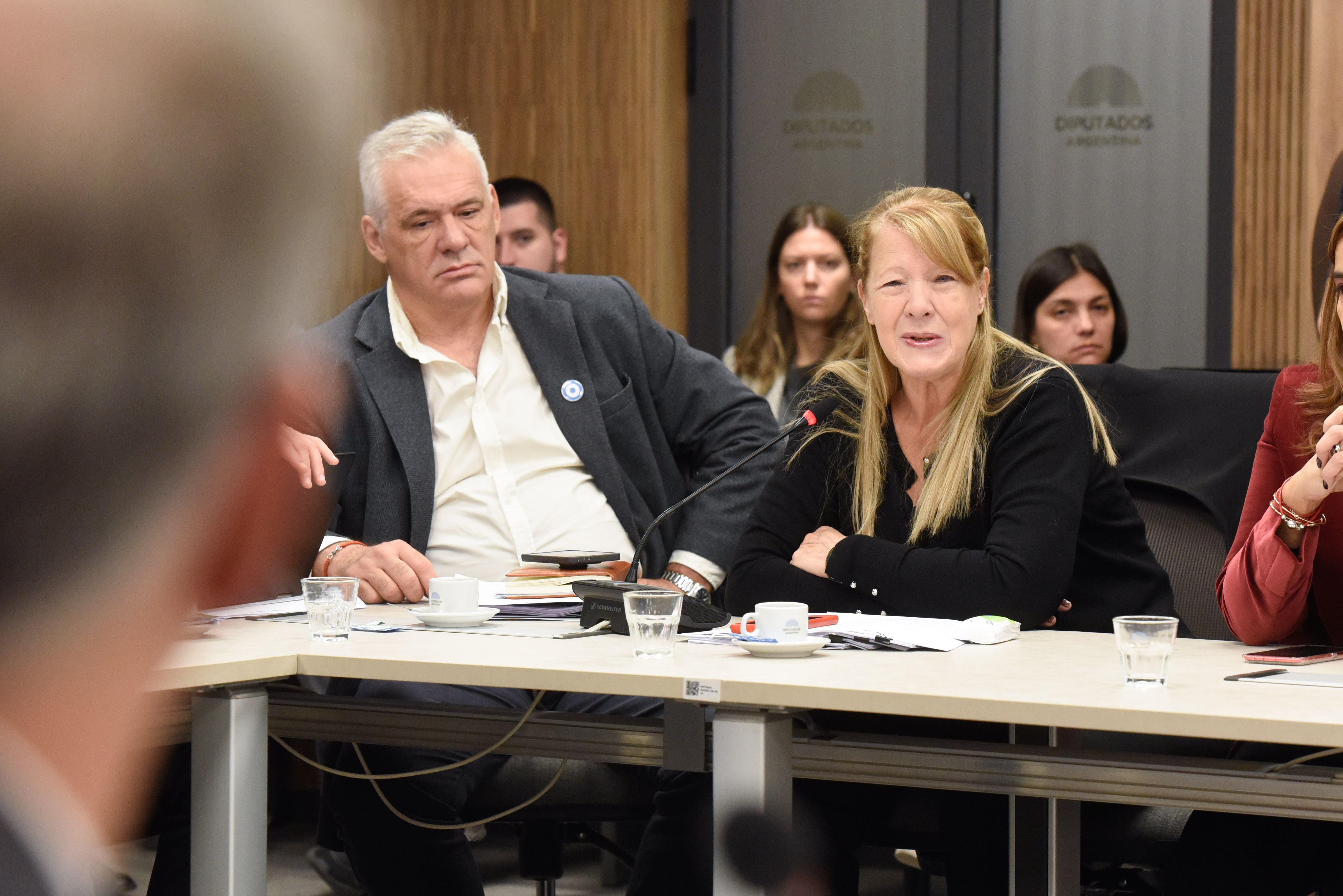 Galeria de imagenes de la noticia DIPUTADOS INICIÓ EL DEBATE DE LOS PROYECTOS RELACIONADOS A LA AUDITORÍA GENERAL DE LA NACIÓN
