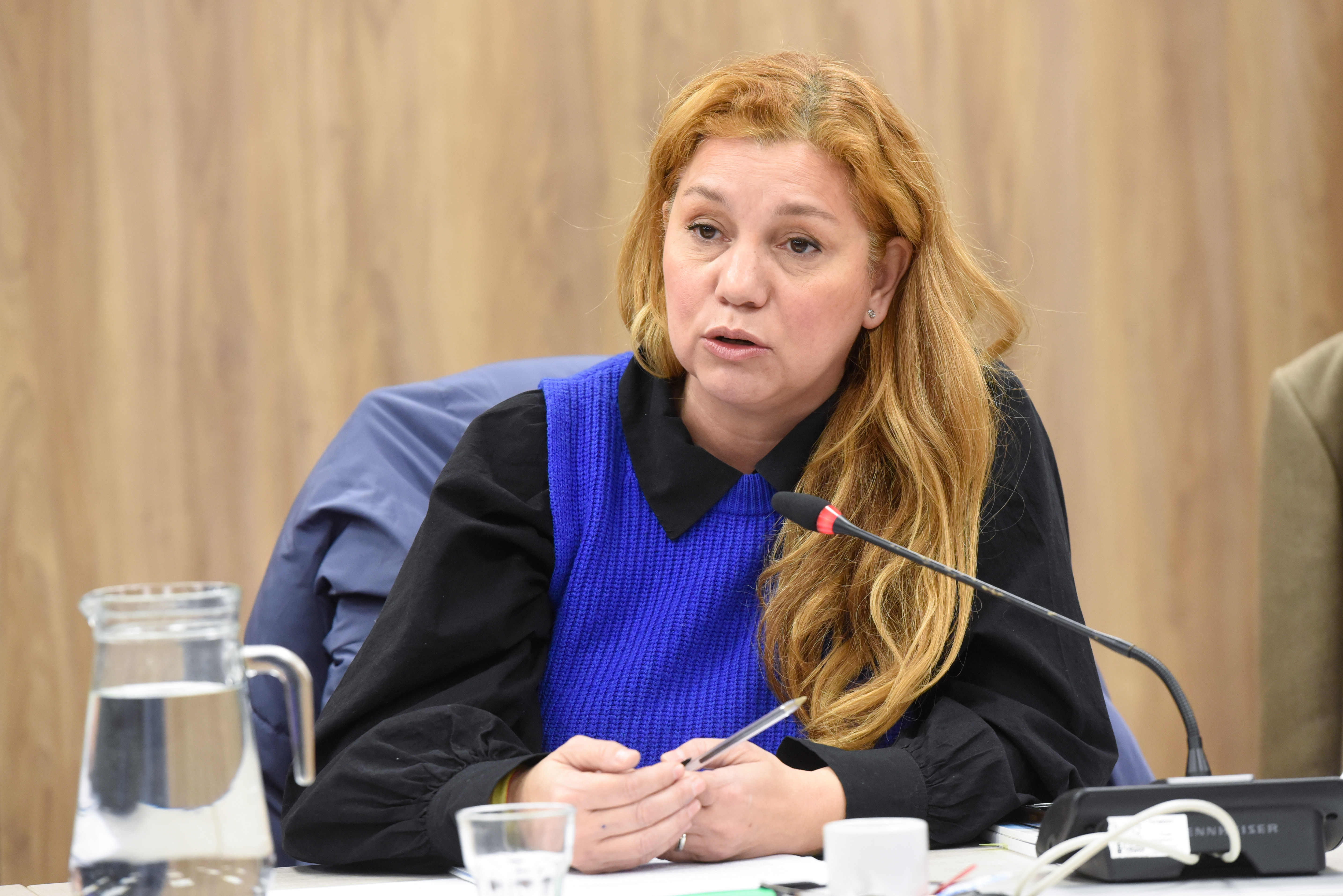 Galeria de imagenes de la noticia DIPUTADOS INICIÓ EL DEBATE DE LOS PROYECTOS RELACIONADOS A LA AUDITORÍA GENERAL DE LA NACIÓN