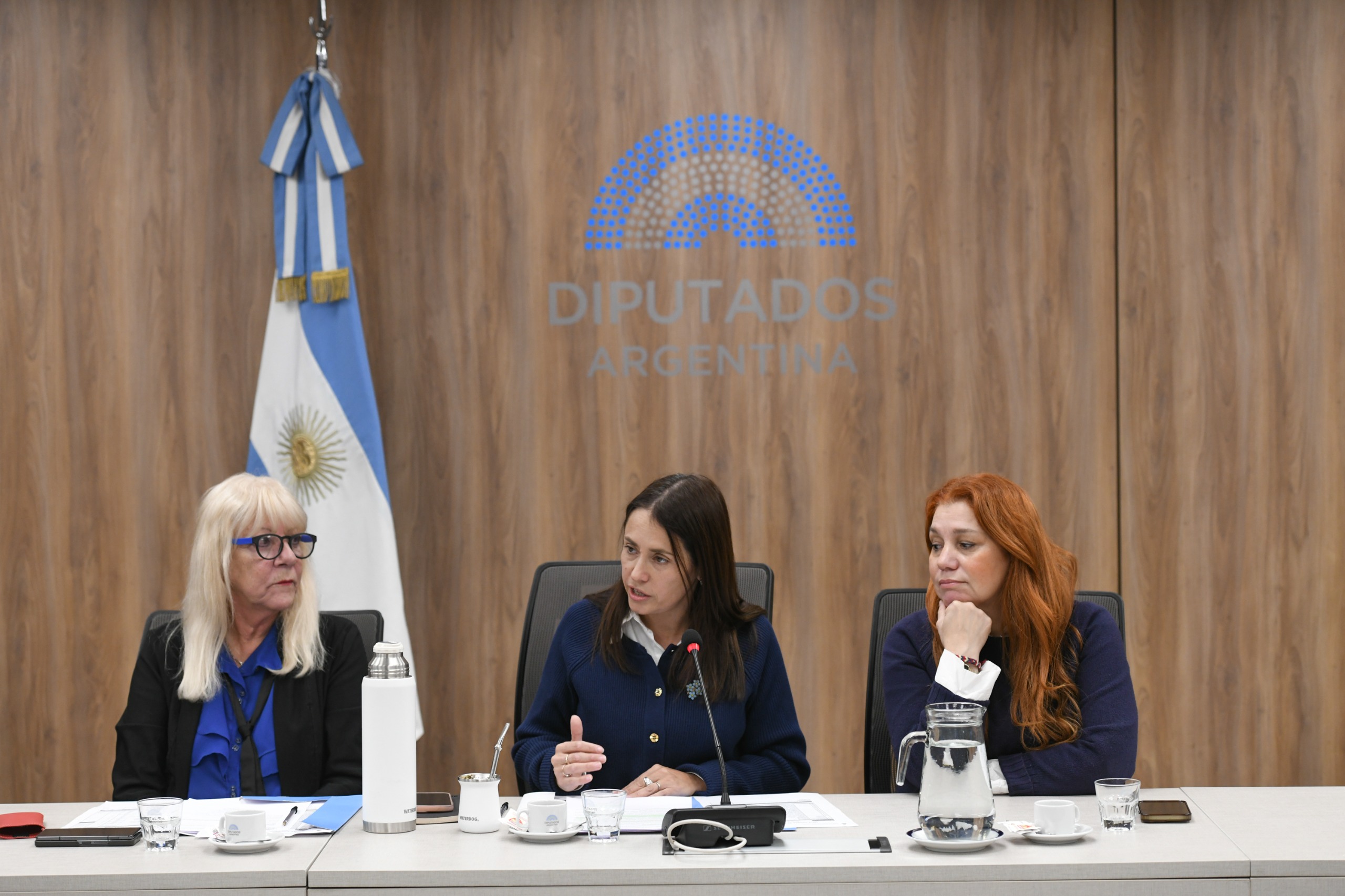 Galeria de imagenes de la noticia LA COMISIÓN DE ASUNTOS MUNICIPALES ESTABLECIÓ UNA AGENDA DE TRABAJO ENFOCADA EN EL FEDERALISMO LOCAL